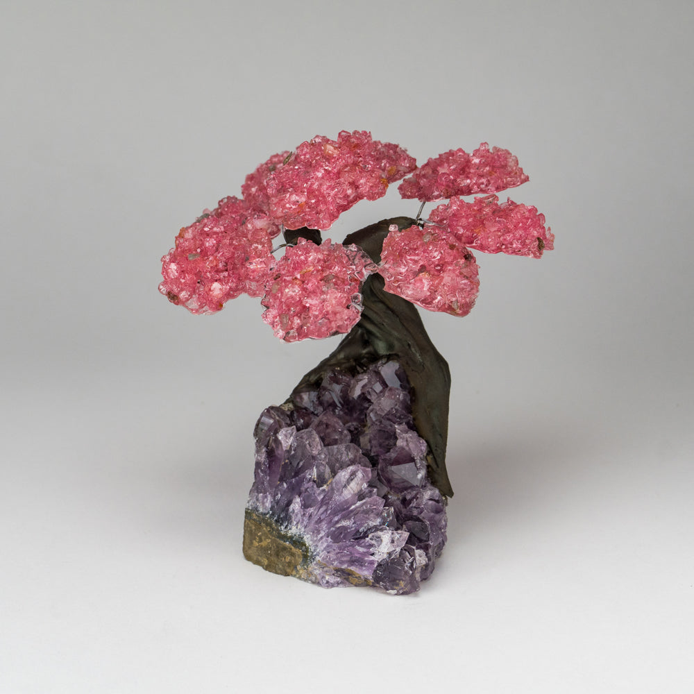 Medium - Genuine Rose Quartz Clustered Gemstone Tree on Amethyst Matrix (The Love Tree)