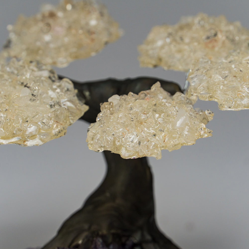 Genuine White Quartz Clustered Gemstone Tree on Amethyst Matrix - The Energy Tree (4") - Astro Gallery of Gems