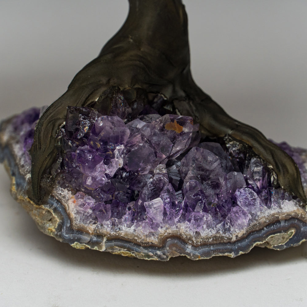 Genuine White Quartz Clustered Gemstone Tree on Amethyst Matrix - The Energy Tree (4") - Astro Gallery of Gems