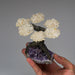 Genuine White Quartz Clustered Gemstone Tree on Amethyst Matrix - The Energy Tree (4") - Astro Gallery of Gems