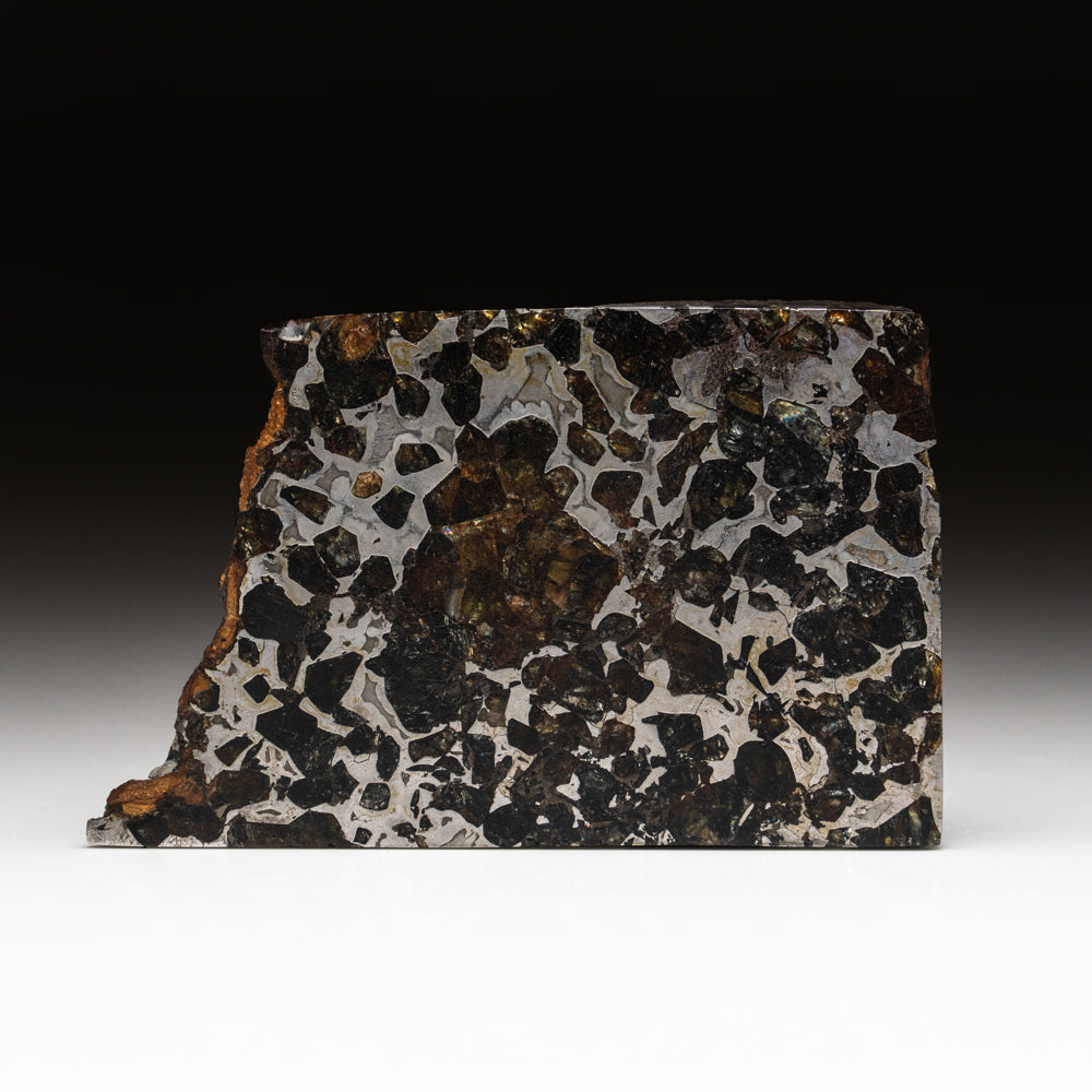 Seymchan Pallasite Meteorite Slab (195.7 grams)