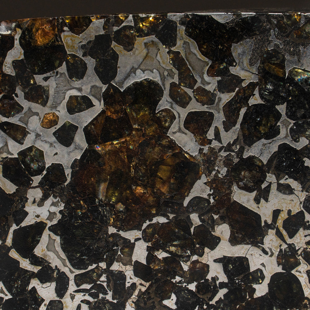 Seymchan Pallasite Meteorite Slab (195.7 grams)