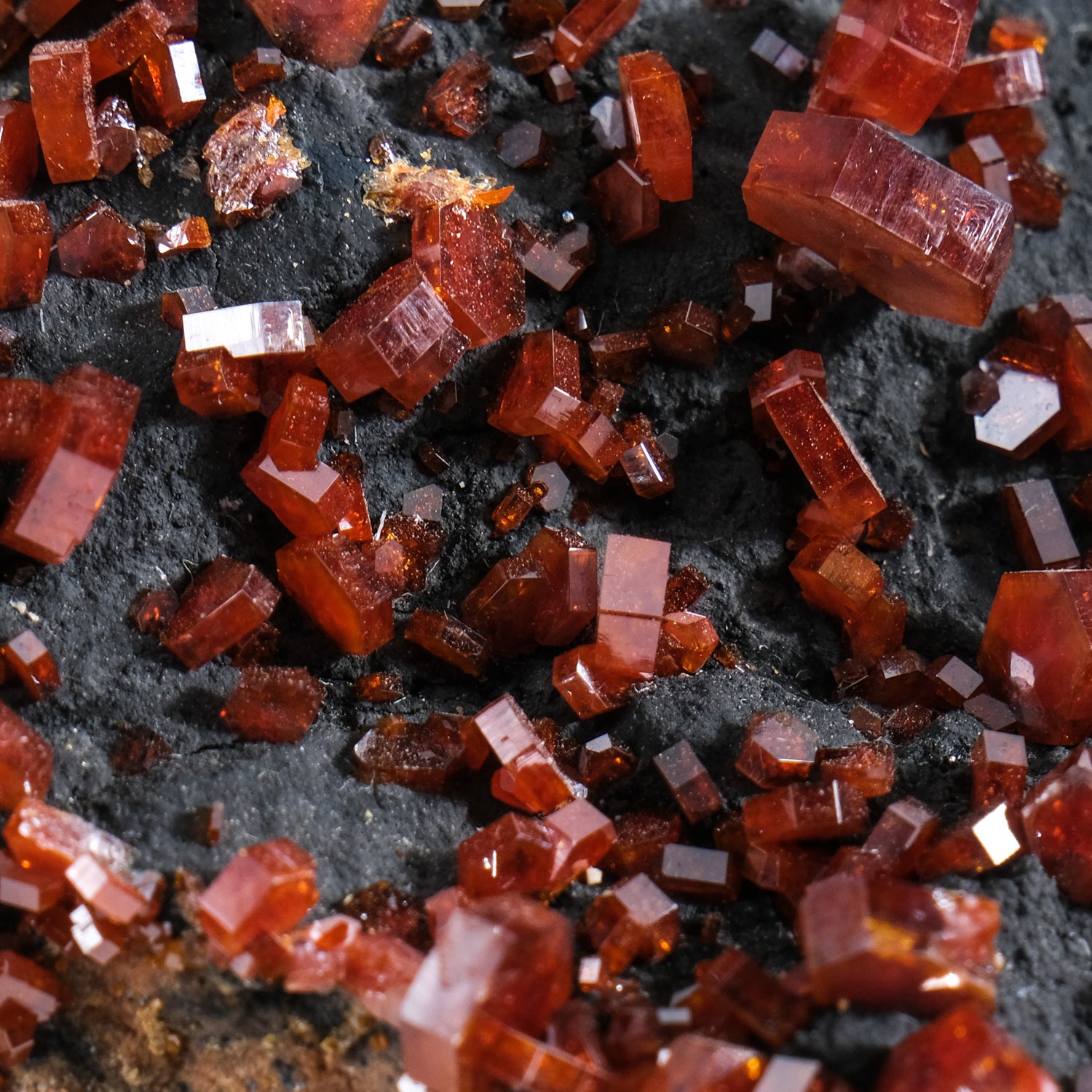 Vanadinite Crystal Cluster on Matrix from Morocco (298.2g)