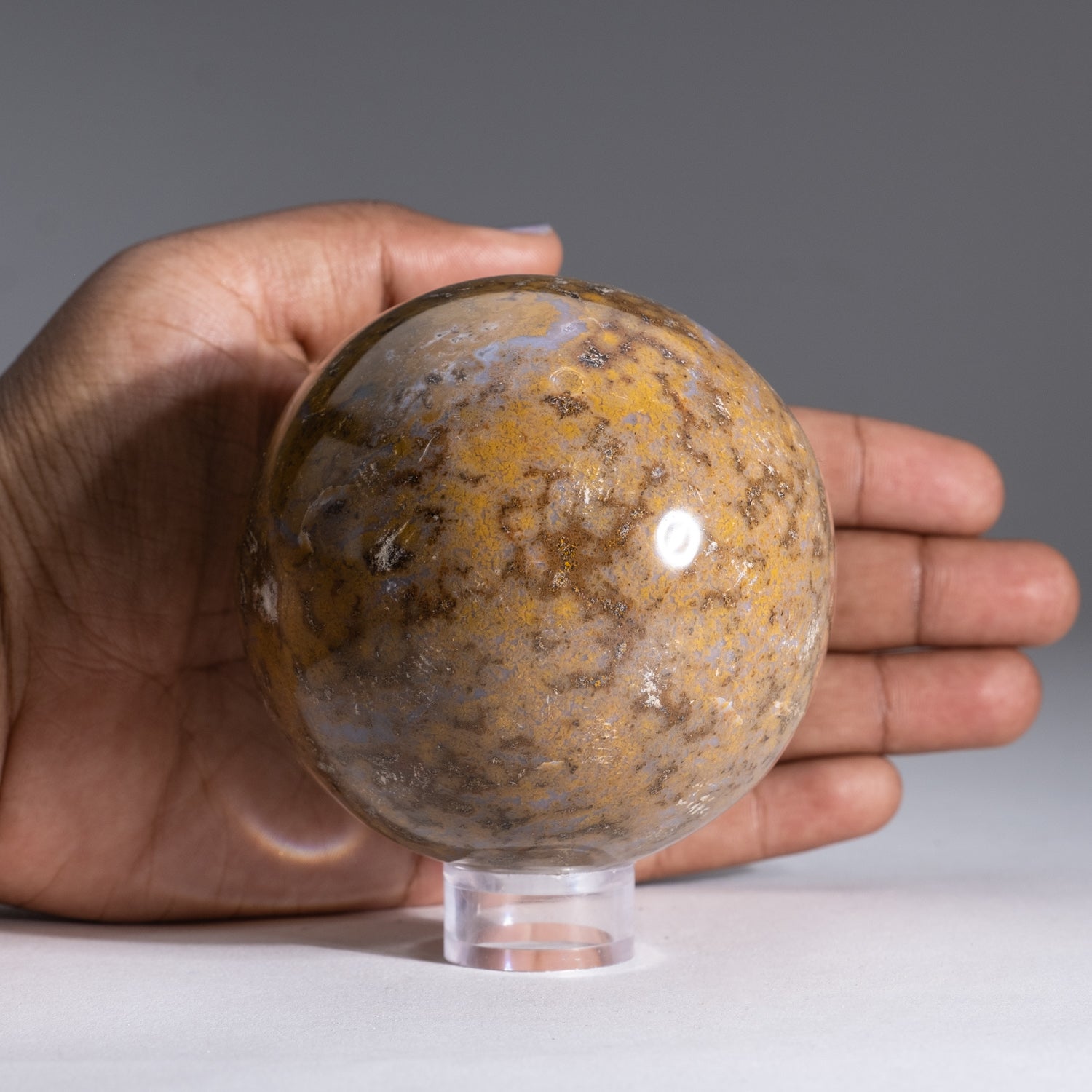 Genuine Polished Ocean Jasper Sphere (1.5 lbs)