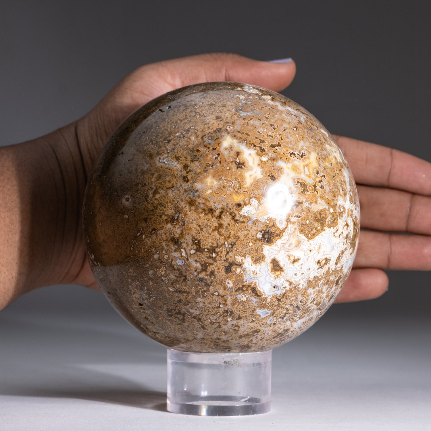 Genuine Polished Ocean Jasper Sphere (3.8 lbs)