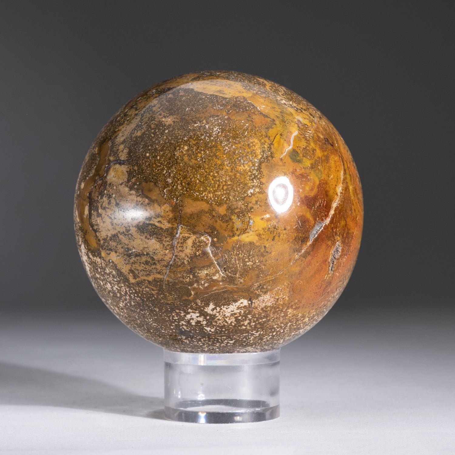 Genuine Polished Ocean Jasper Sphere (3.2 lbs)