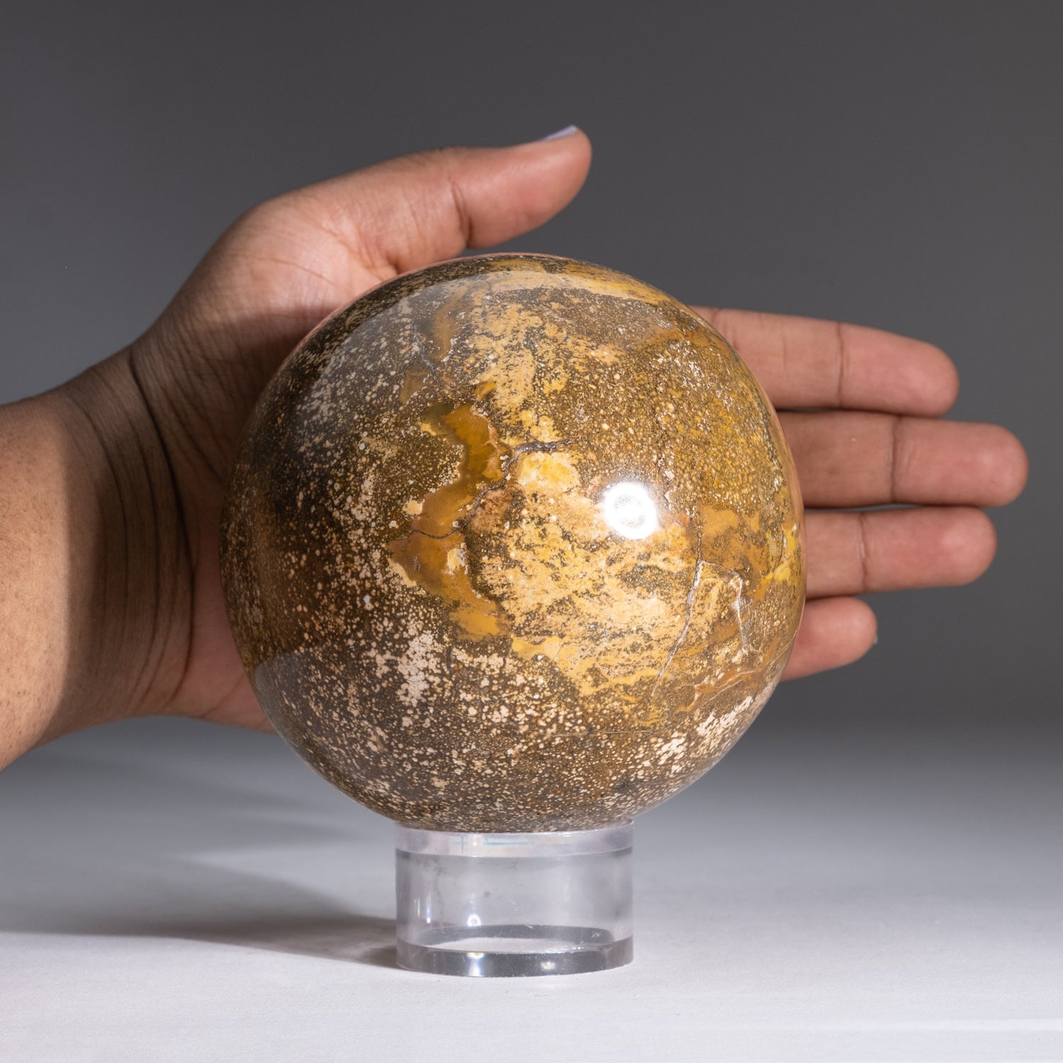 Genuine Polished Ocean Jasper Sphere (3.2 lbs)
