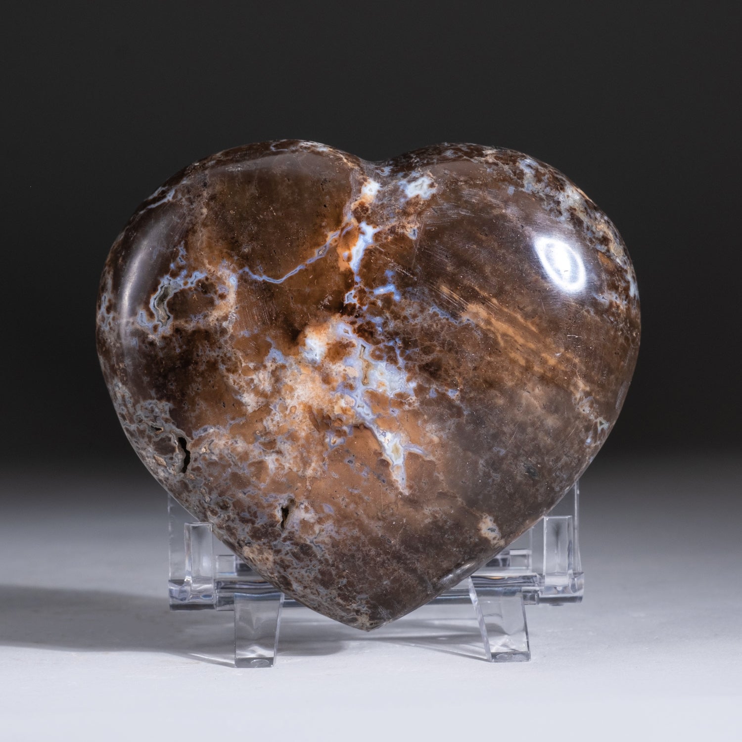 Polished Brown Petrified Wood Heart from Madagascar (365.5 grams)