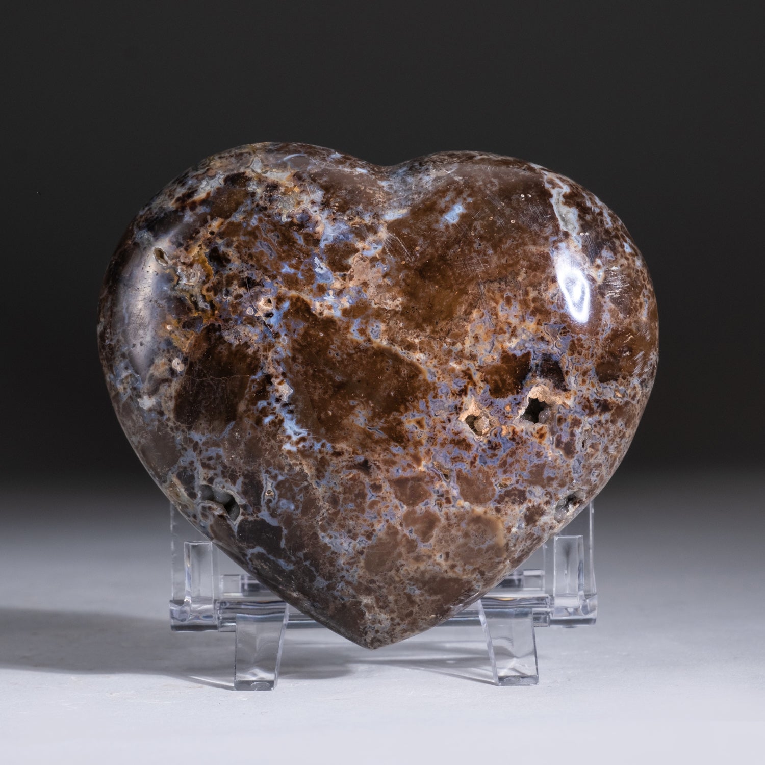 Polished Brown Petrified Wood Heart from Madagascar (365.5 grams)