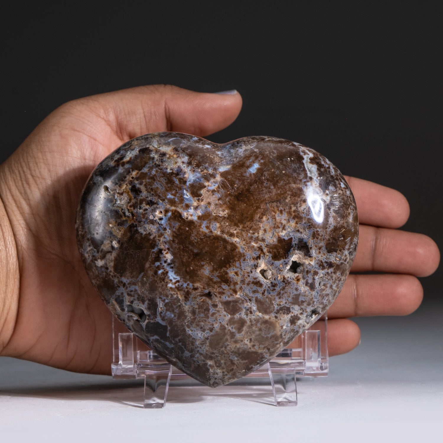 Polished Brown Petrified Wood Heart from Madagascar (365.5 grams)