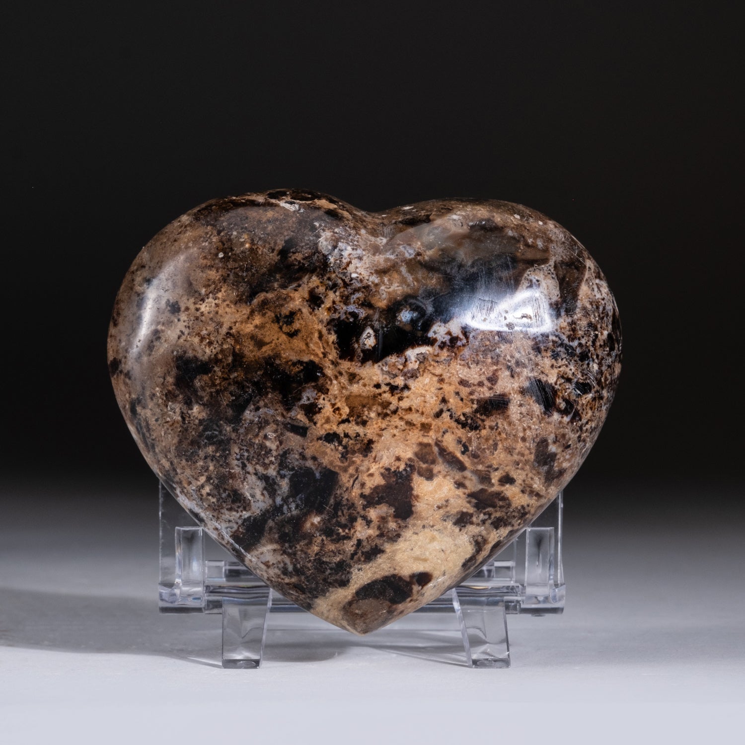 Polished Brown Petrified Wood Heart from Madagascar (350 grams)