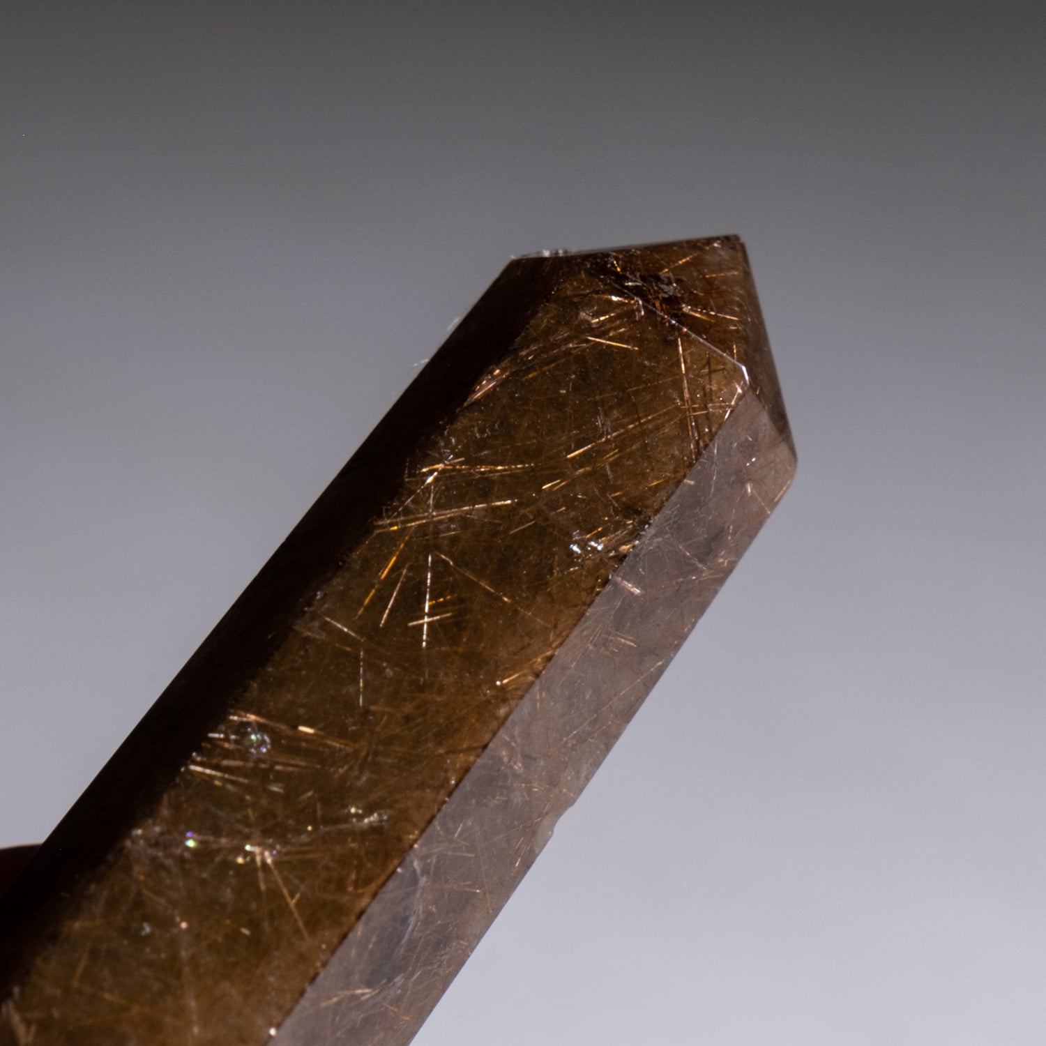 Genuine Polished Red Rutilated Quartz Point from Brazil (37.4 grams)