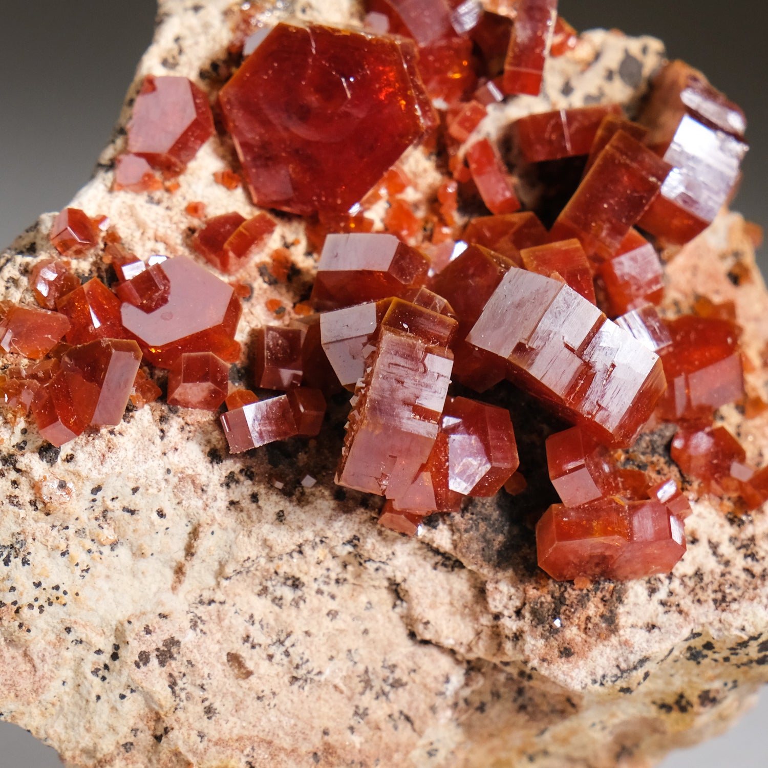 Genuine Vanadinite Crystal Cluster on Matrix from Morocco (63.4 grams)