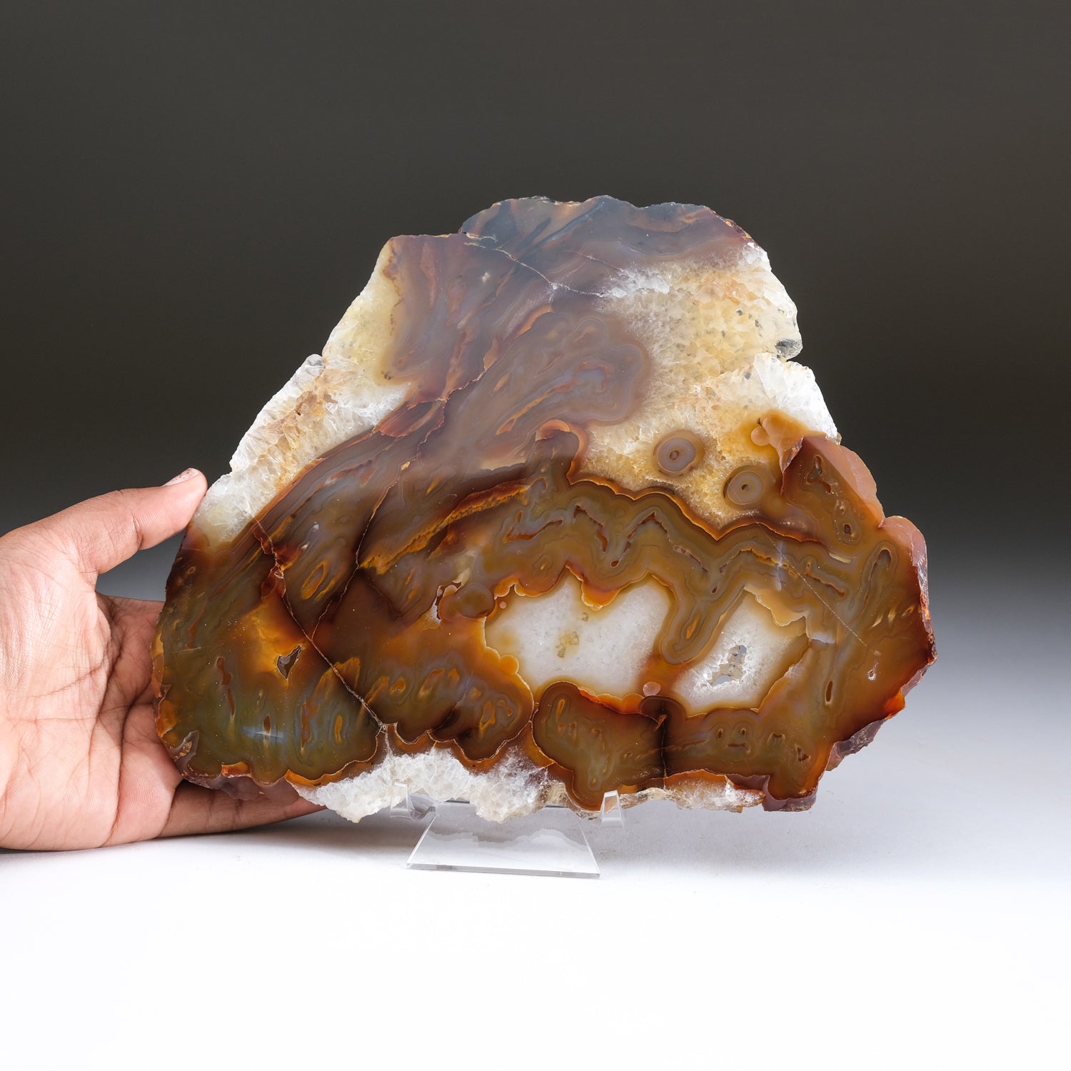 Carnelian Banded Agate Slice from Brazil (1.7 lbs)
