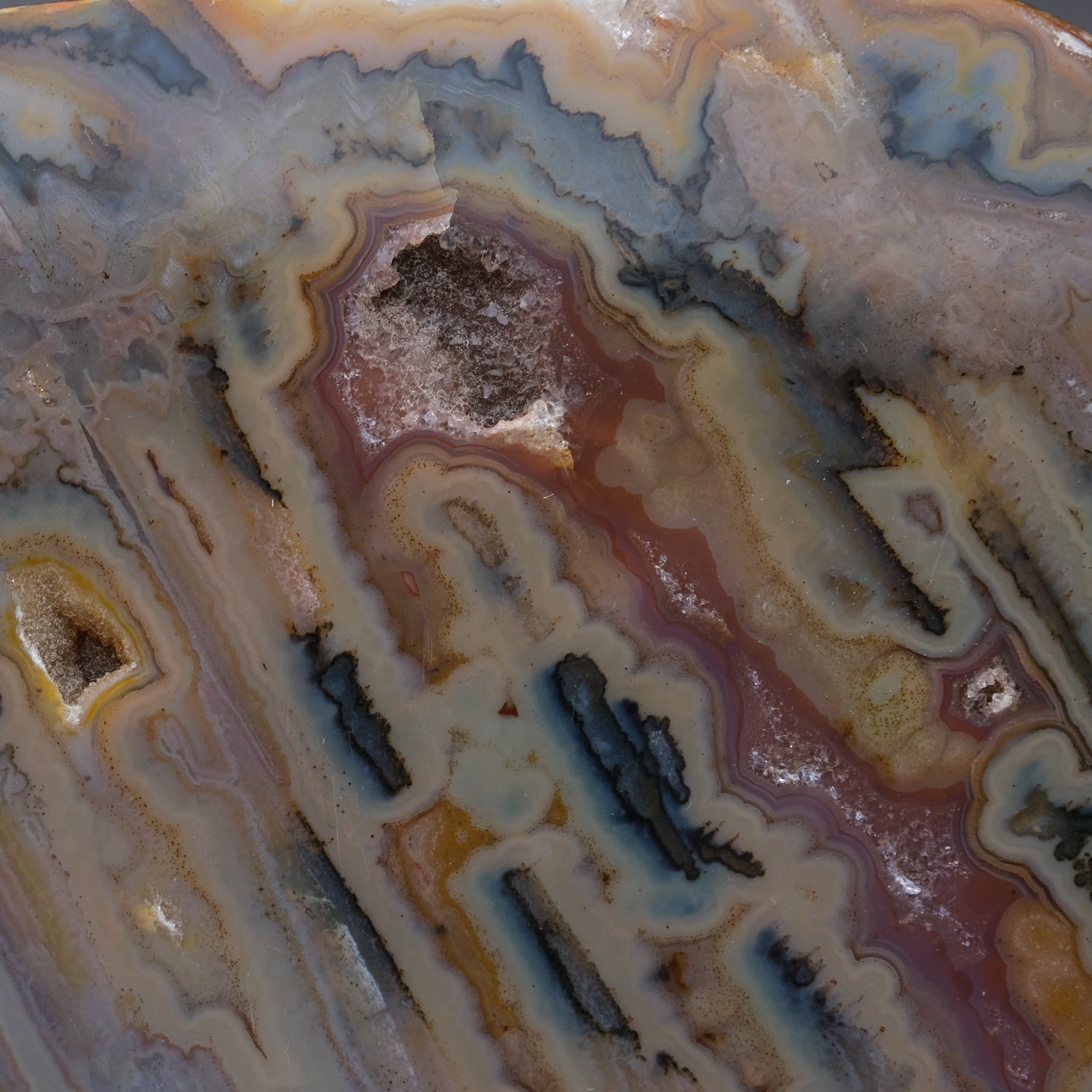 Blue Banded Agate Slice from Brazil (2.1 lbs)