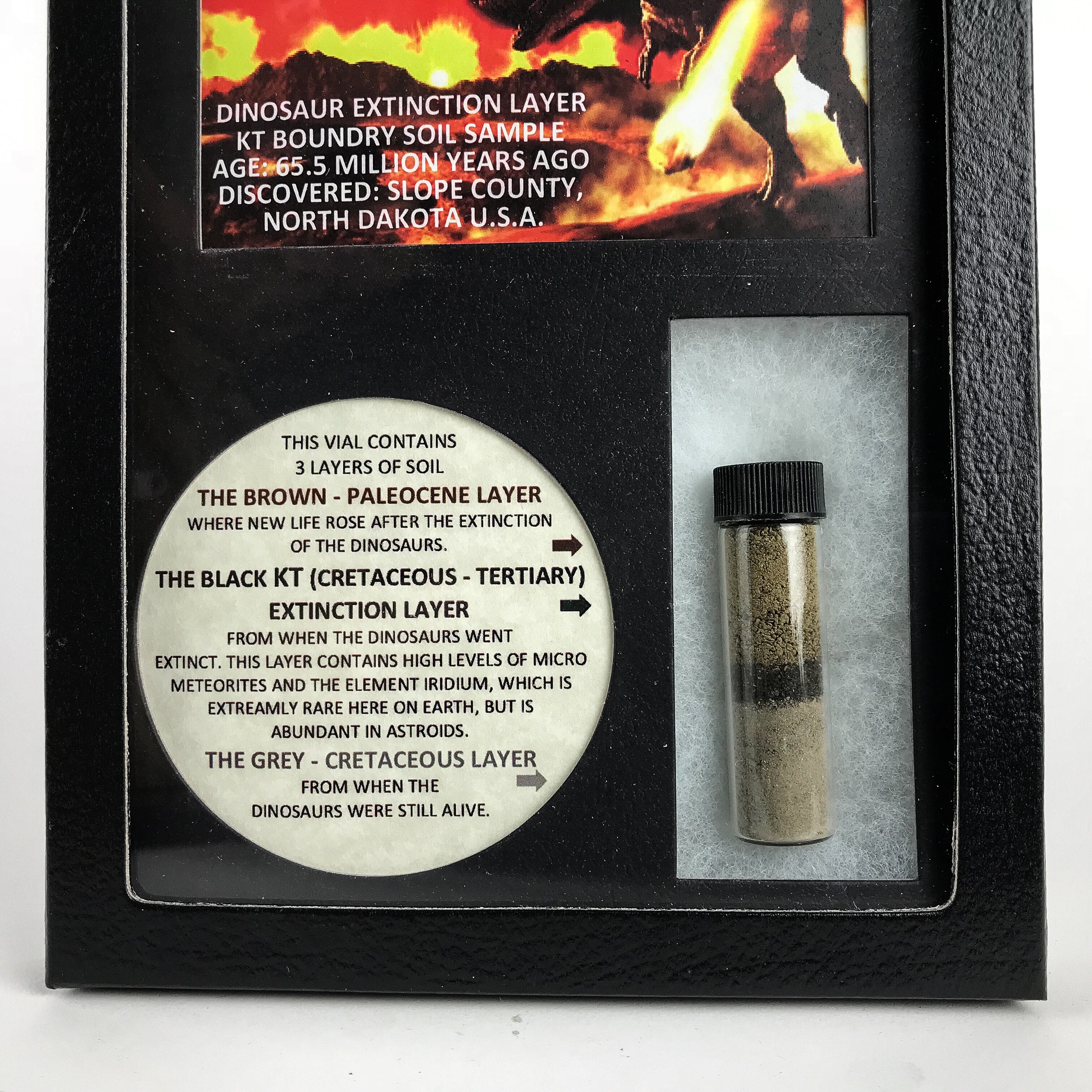 Genuine Dinosaur Extinction (3 Layer) Soil Sample Display Box - Astro Gallery