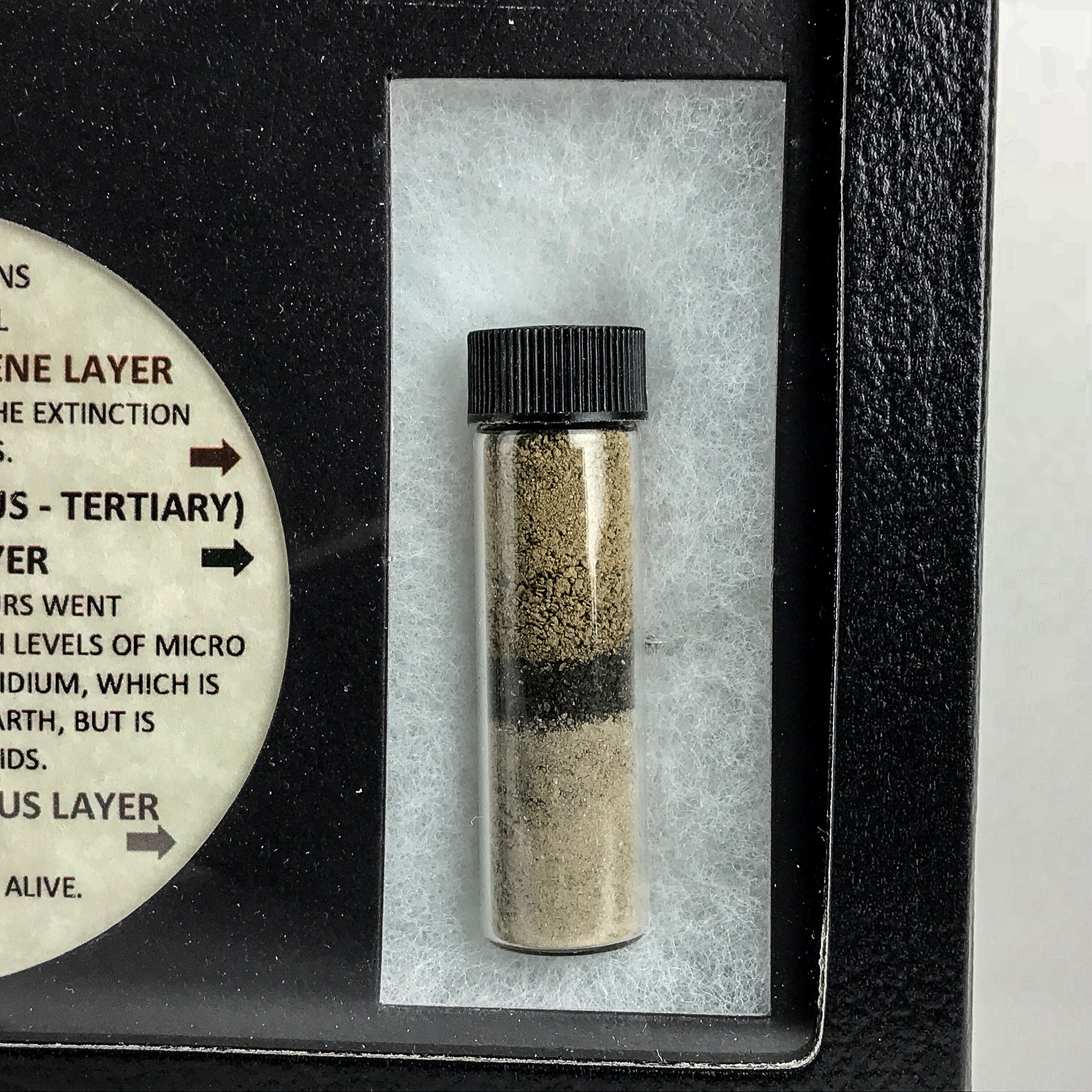 Genuine Dinosaur Extinction (3 Layer) Soil Sample Display Box - Astro Gallery