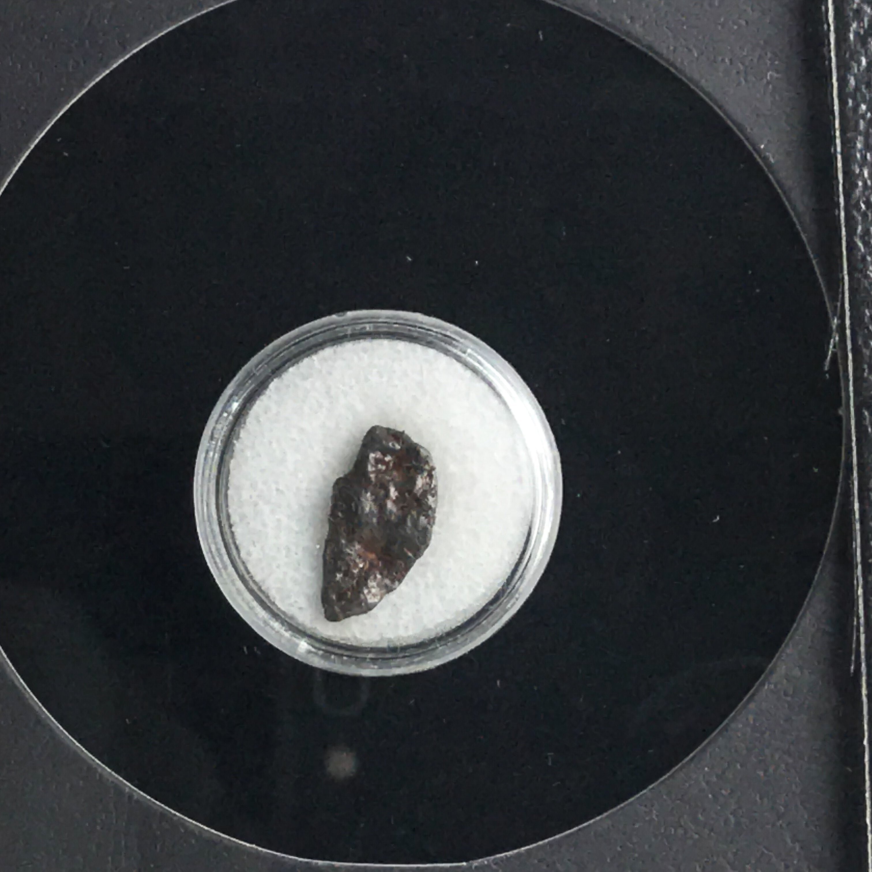 Genuine Nantan Meteorite in Glass Display Box - Astro Gallery