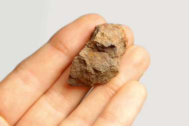 NWA 869 787 Meteorite - Astro Gallery