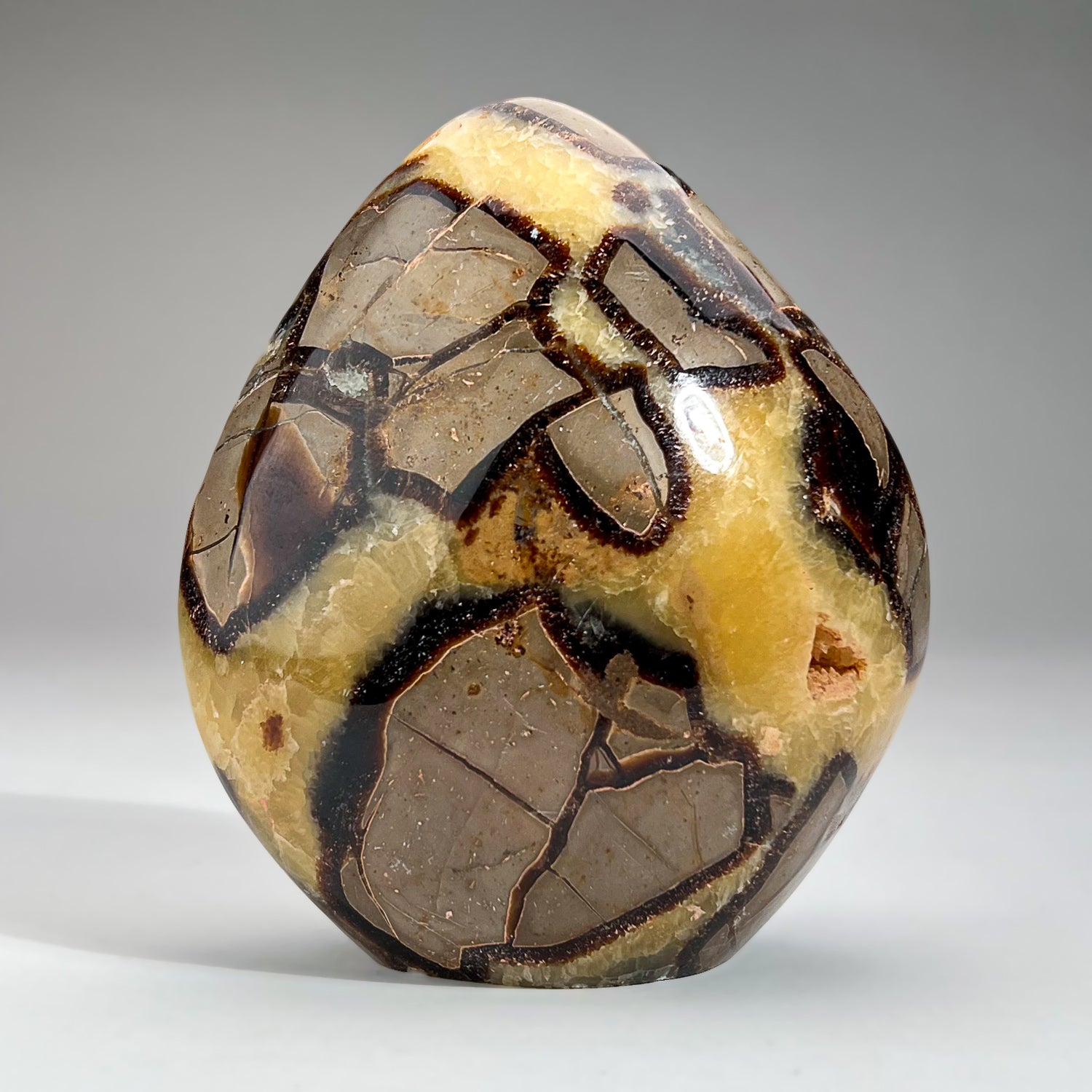 Polished Septarian Freeform from Madagascar (3 lbs)