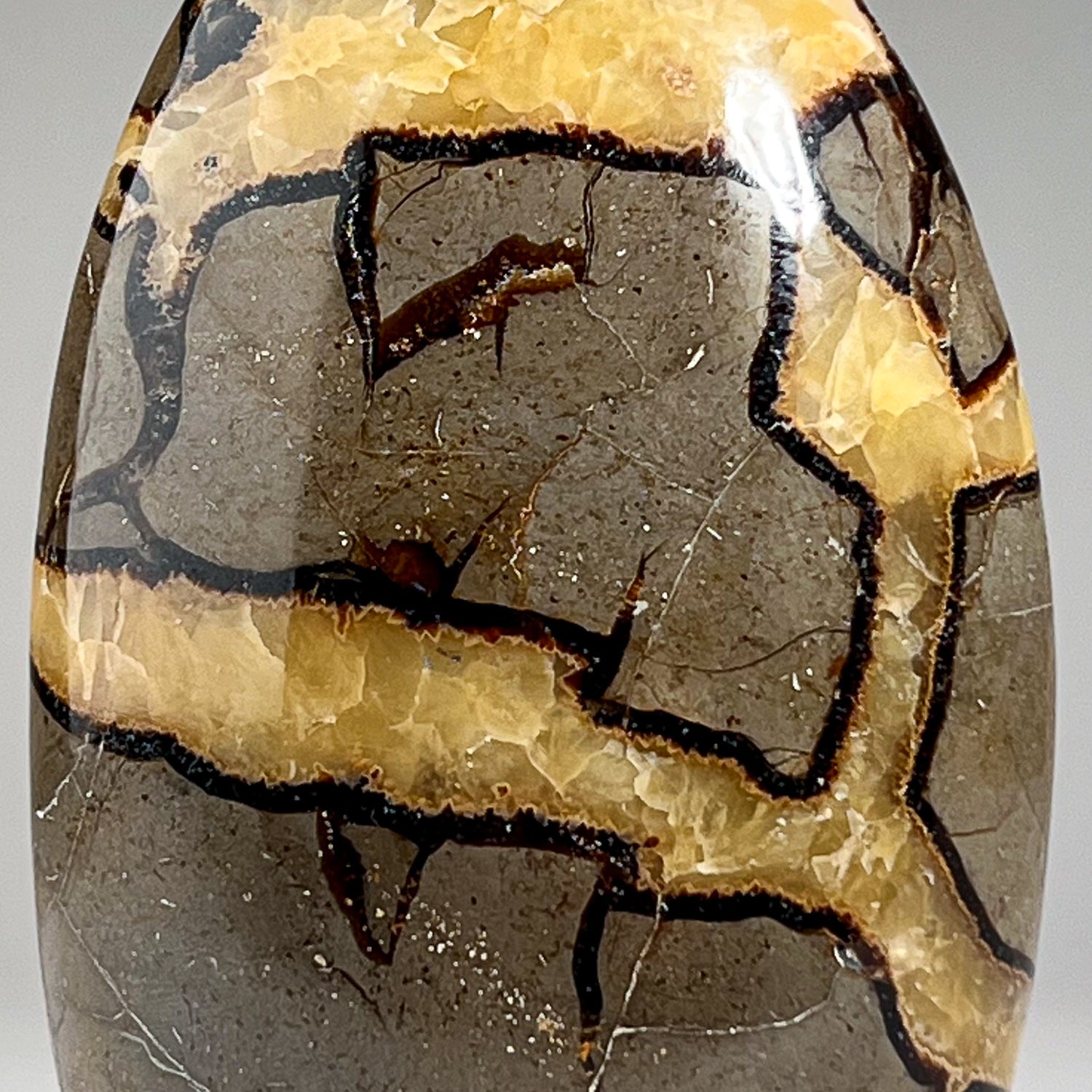 Polished Septarian Freeform from Madagascar (2.5 lbs)