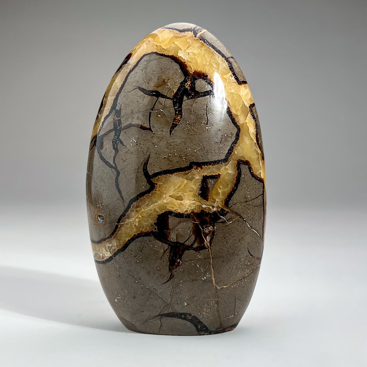 Polished Septarian Freeform from Madagascar (2.5 lbs)