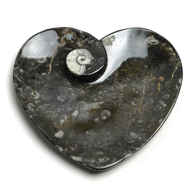 Goniatite Fossil Dish - Medium Heart - Astro Gallery