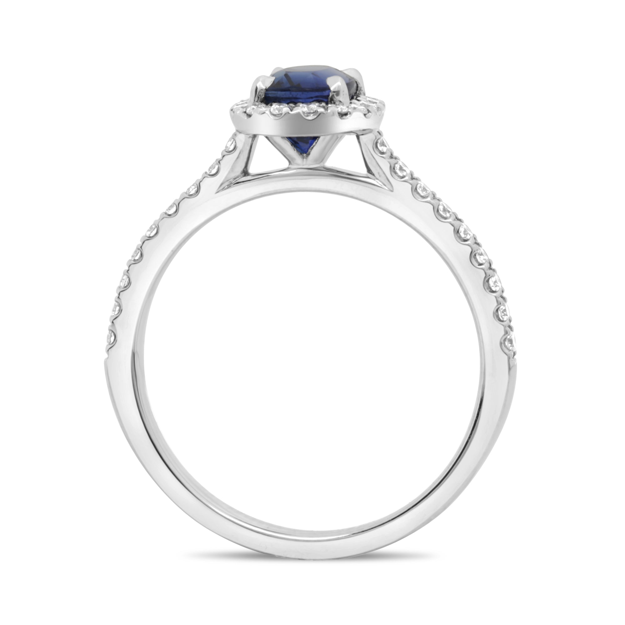 18k White Gold Sapphire Ring (KR3648WSP-9)