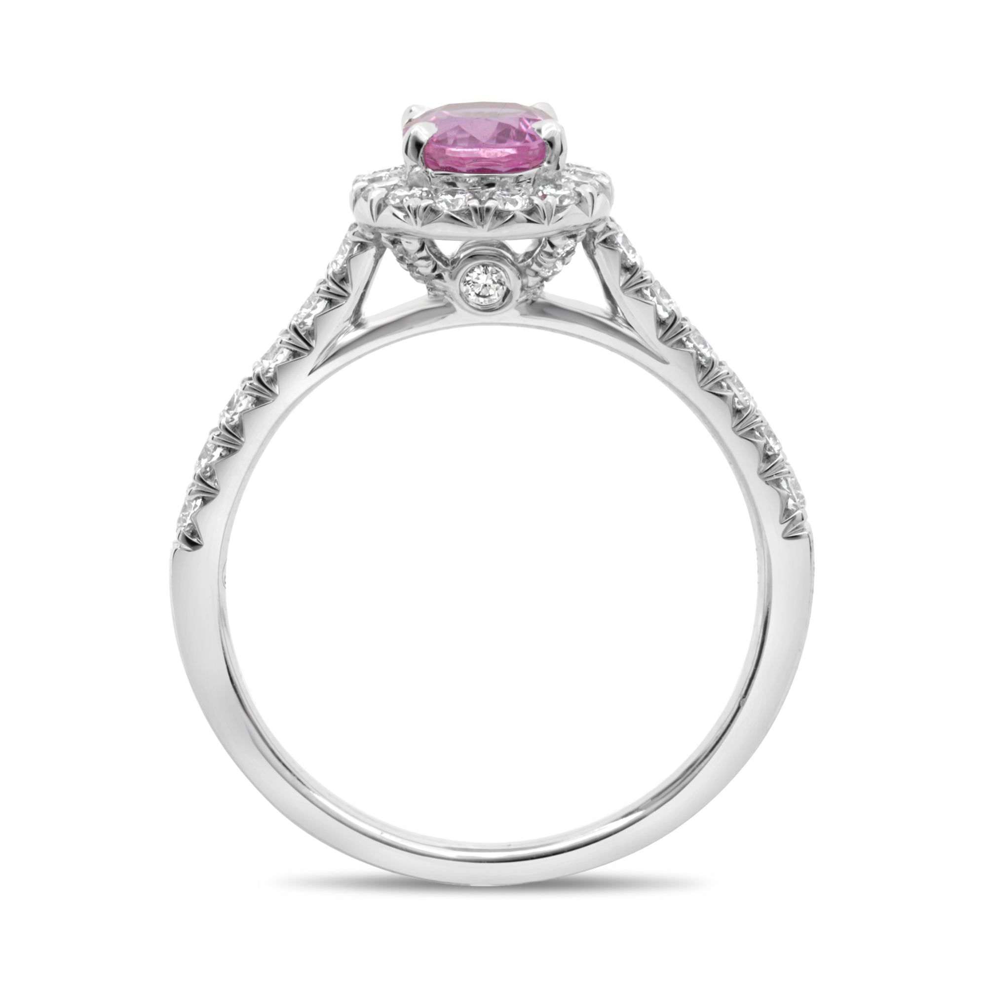 18k White Gold Pink Sapphire Ring (KR5563WPSP-18K)