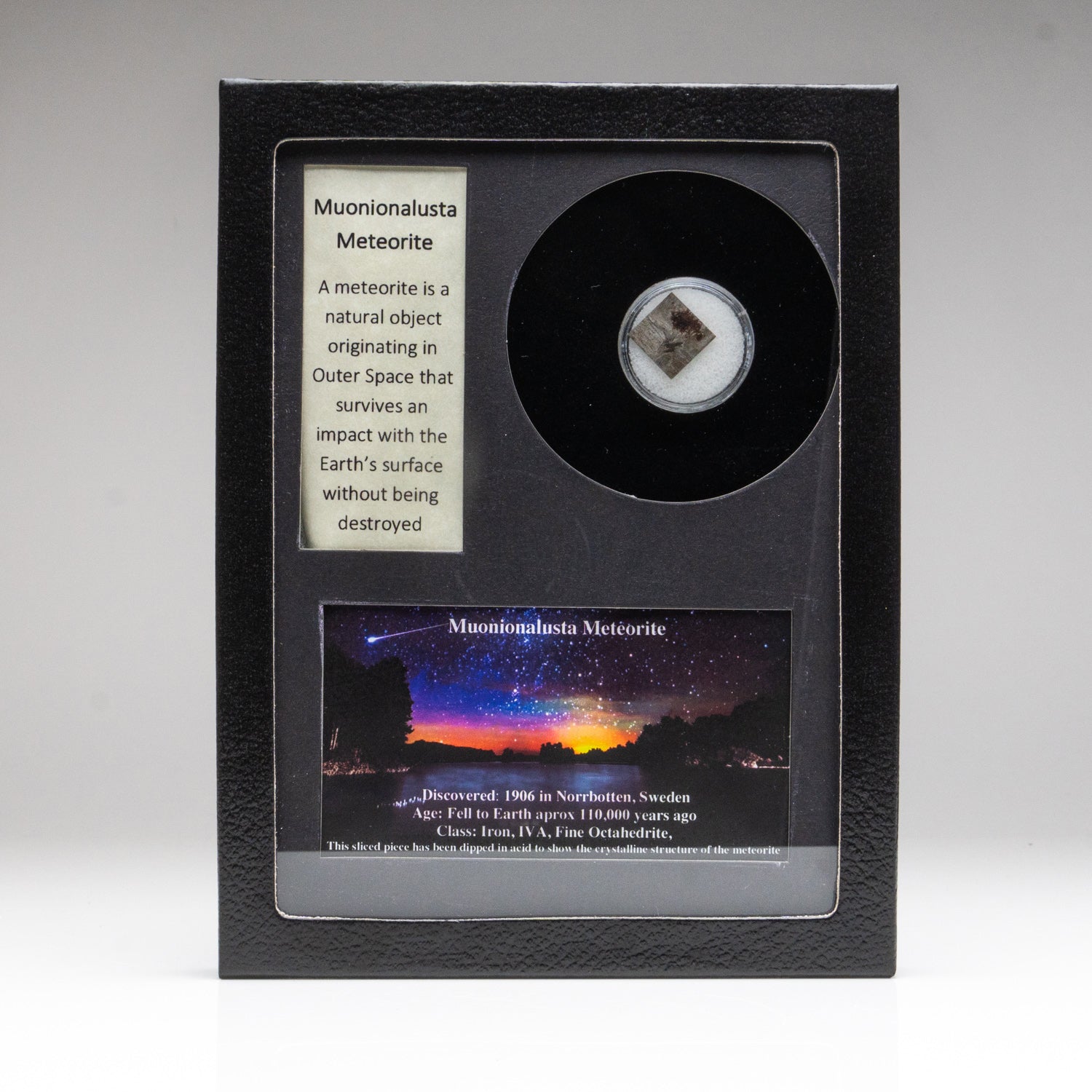 Genuine Muonionalusta Meteorite in Glass Display Box