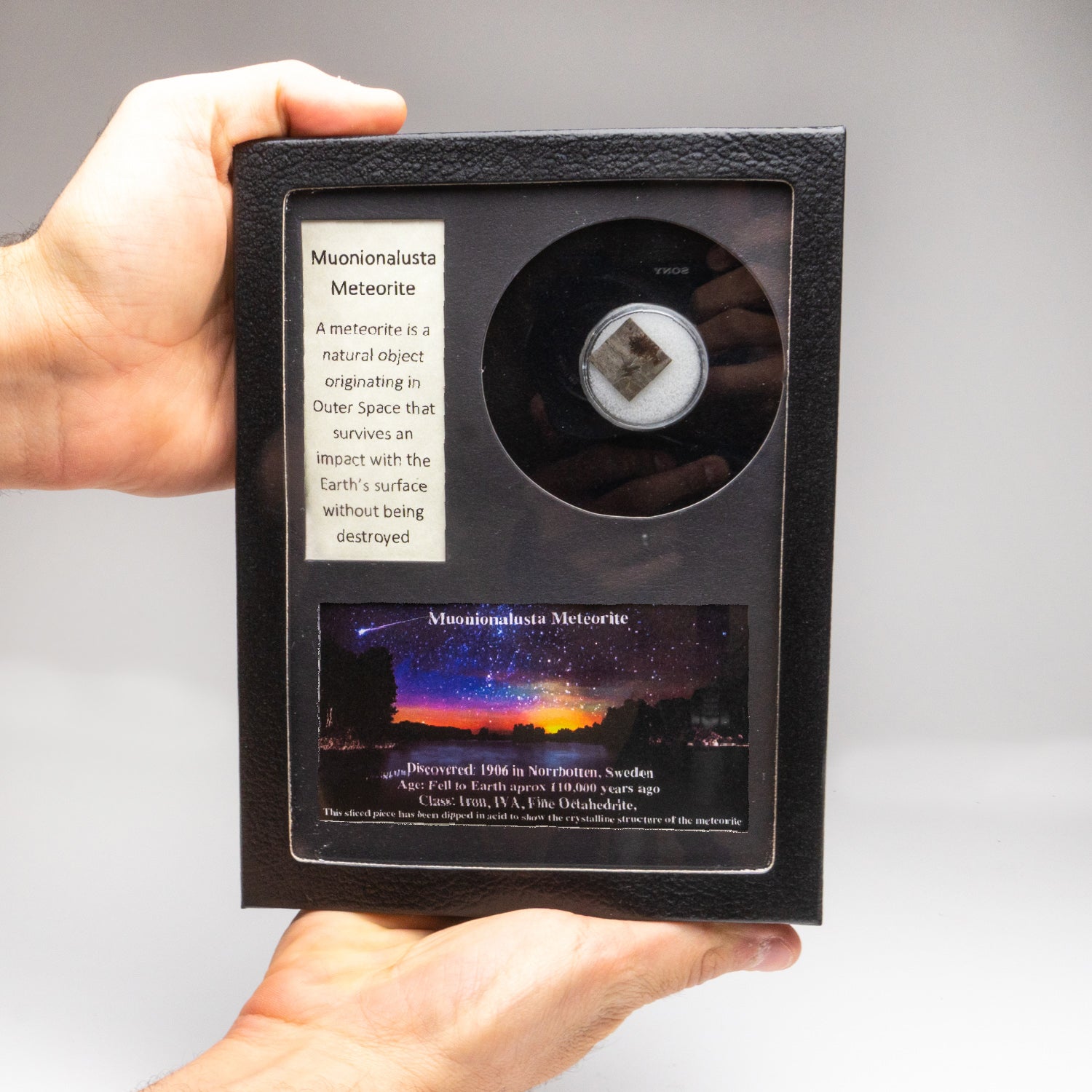Genuine Muonionalusta Meteorite in Glass Display Box