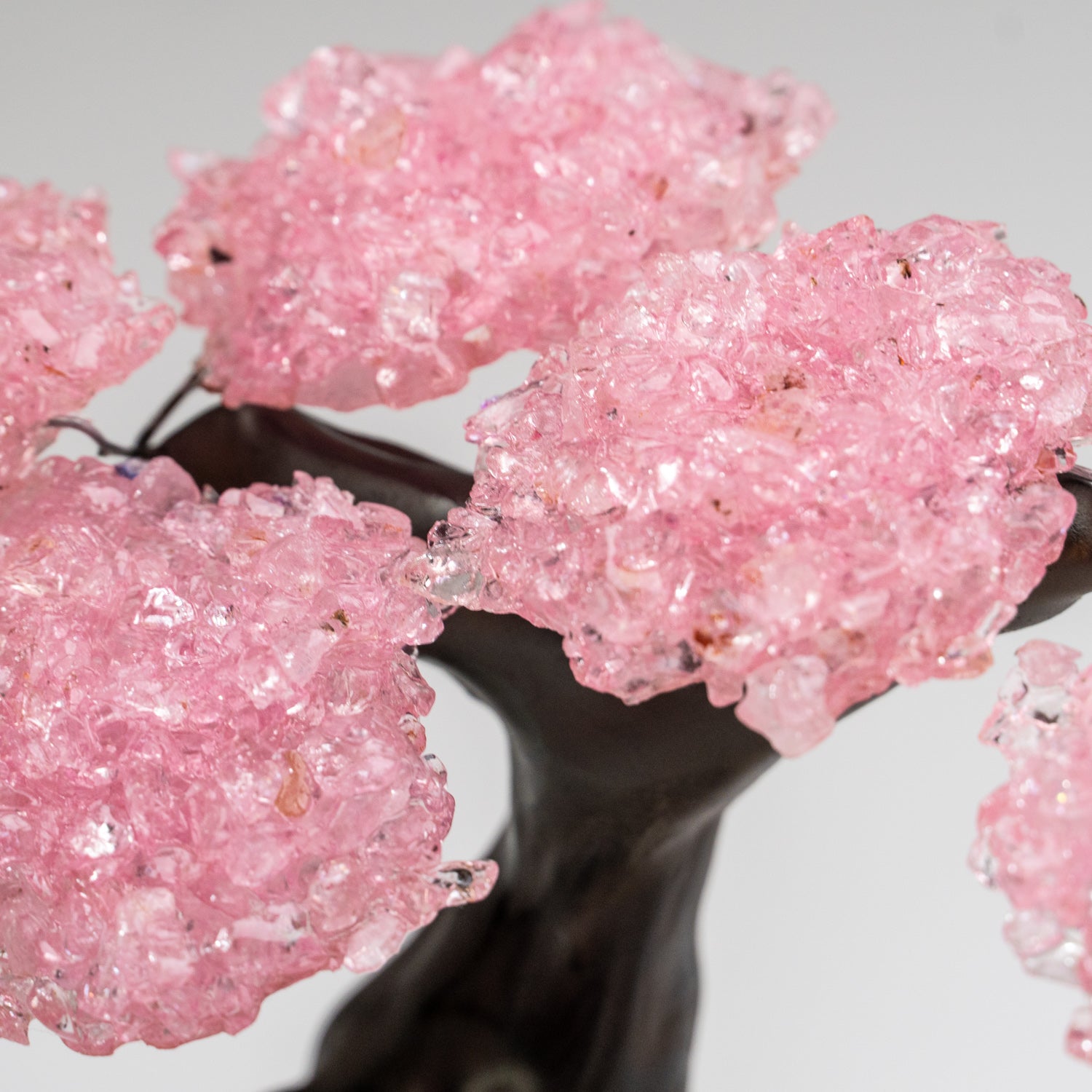 Small - Genuine Rose Quartz Clustered Gemstone Tree on a Quartz Crystal Matrix (The Tree of Light)