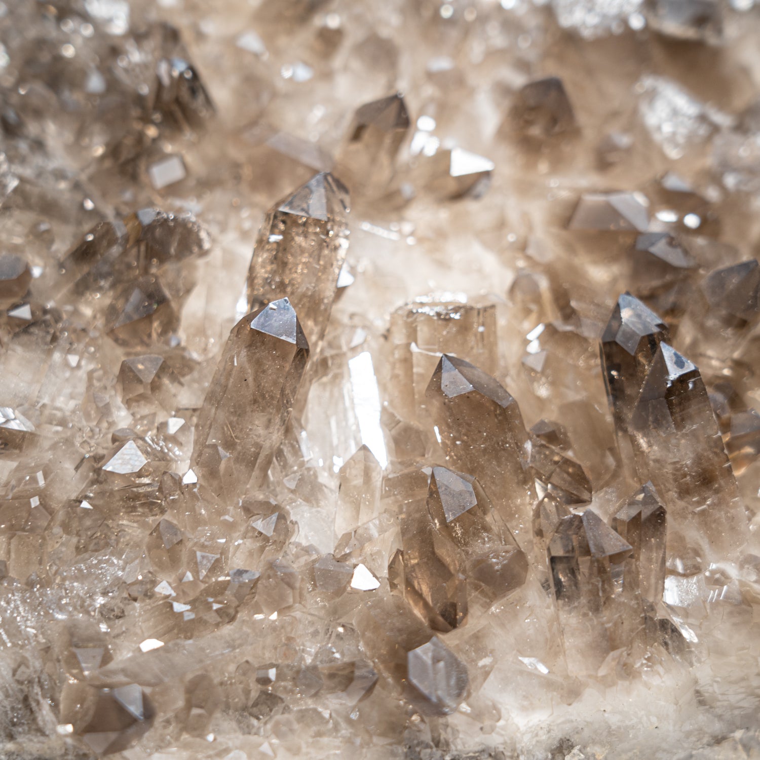 Genuine Smoky Quartz Crystal Cluster from Mina Gerais, Brazil (3.3 lbs)
