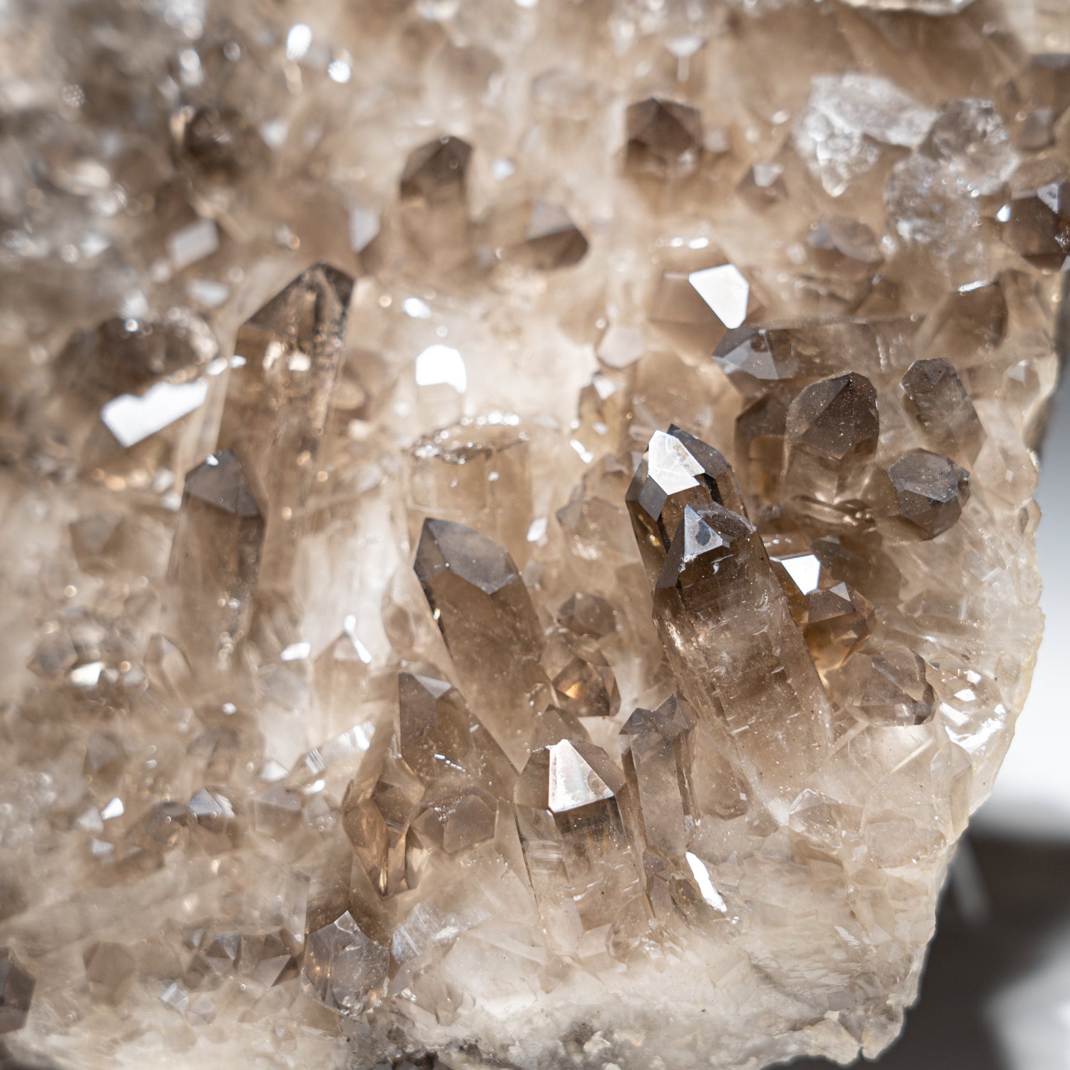 Genuine Smoky Quartz Crystal Cluster from Mina Gerais, Brazil (3.3 lbs)