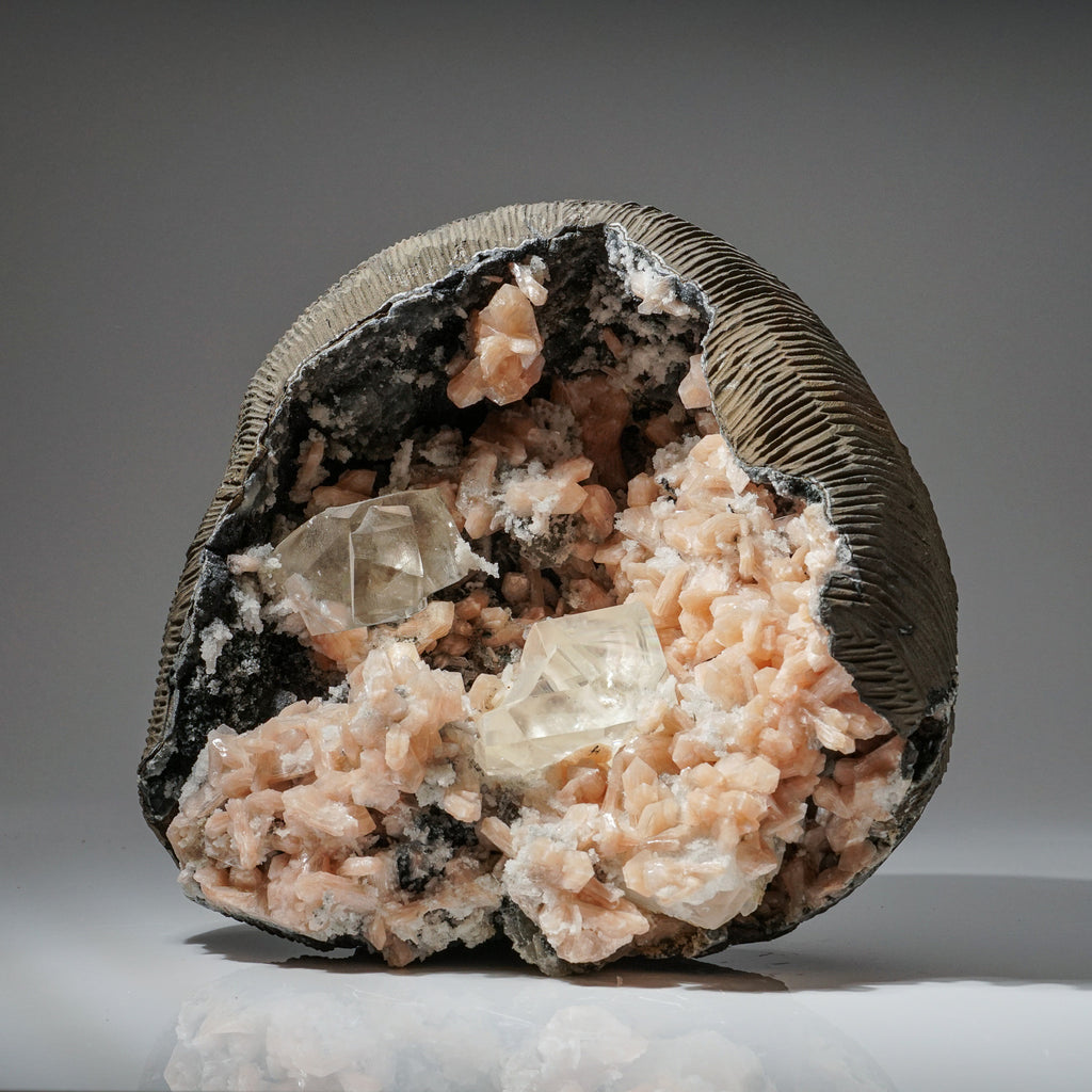Apophyllite Geode with Stilbite and Golden Calcite From Nasik District, Maharashtra, India