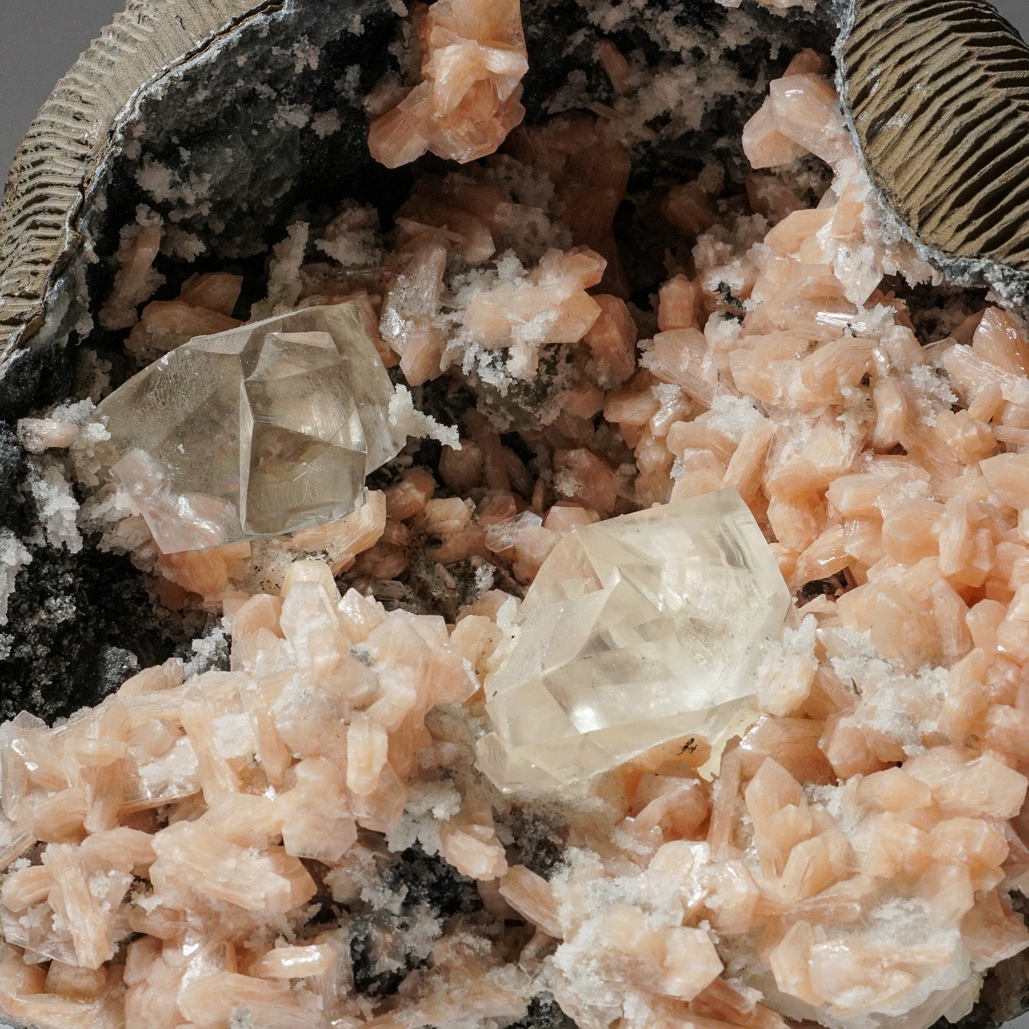 Apophyllite Geode with Stilbite and Golden Calcite From Nasik District, Maharashtra, India