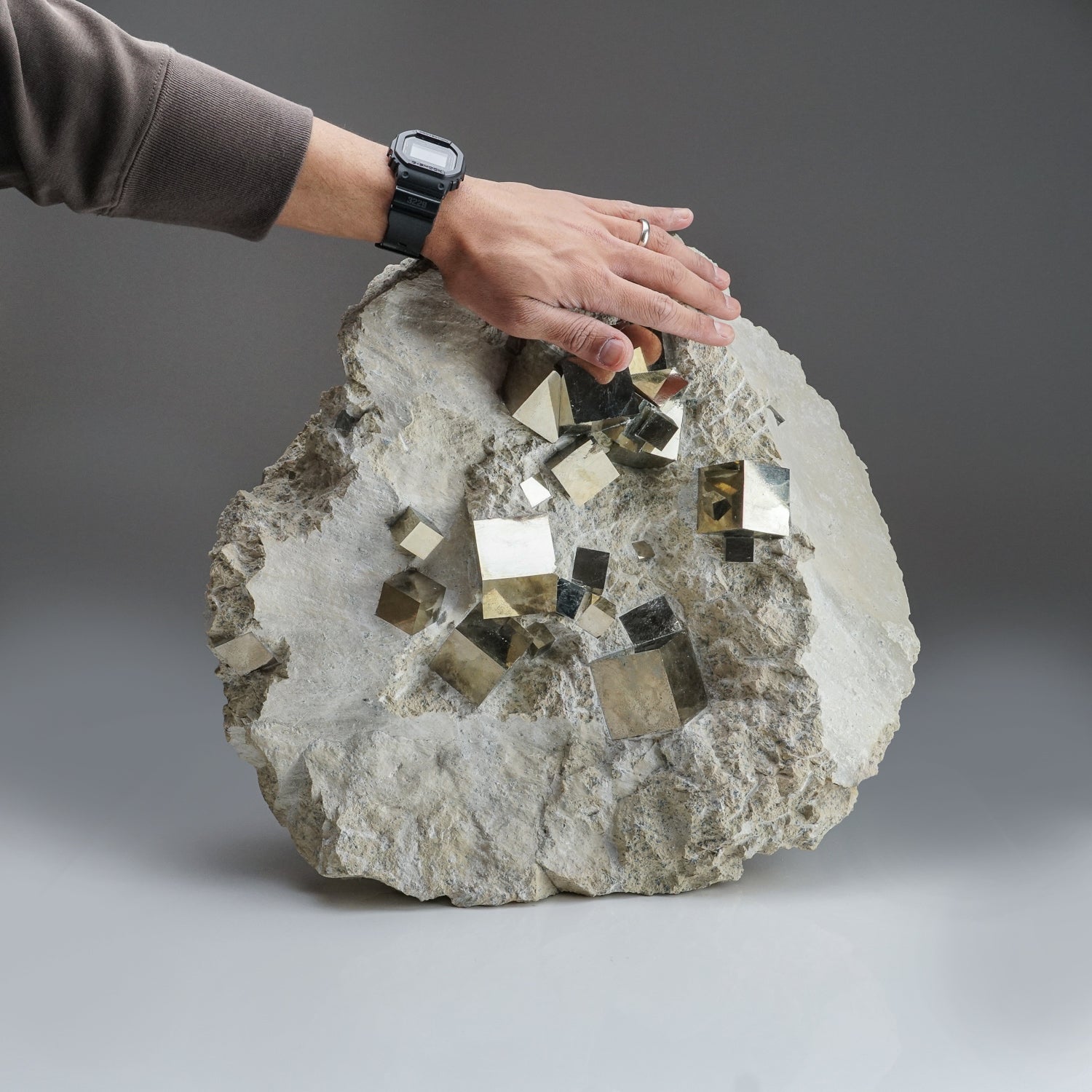 Genuine Pyrite Cubes on Basalt From Navajun, Spain (54.2 lbs)