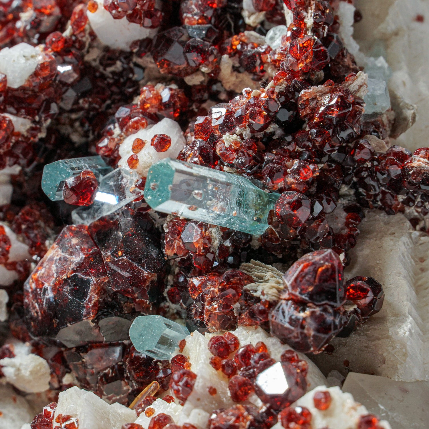 Spessartine Garnet with Aquamarine Crystals on Albite from Himalayan mountains - Shengus area, near Skardu, Pakistan