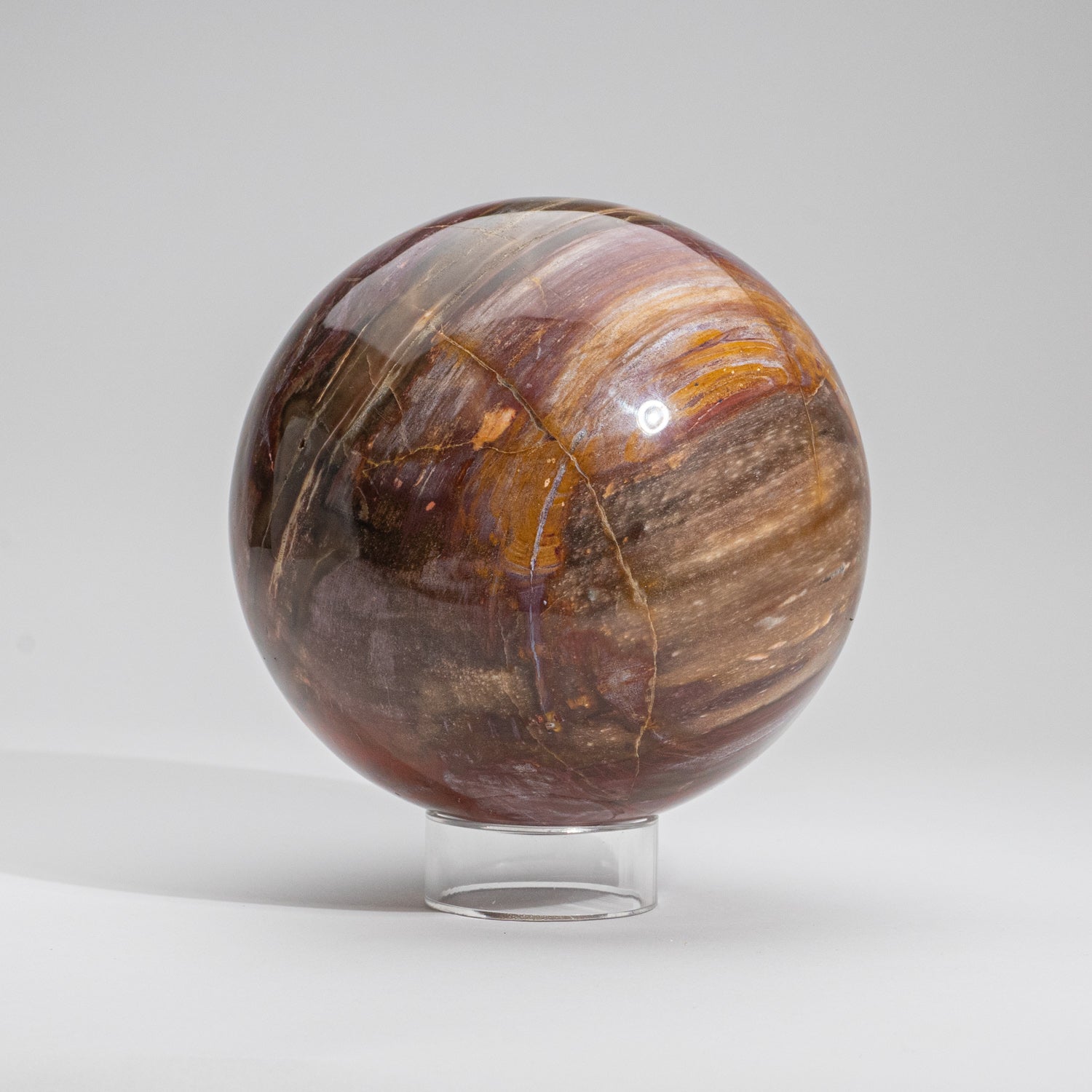 Large Genuine Polished Petrified Wood Sphere from Madagascar (6.75", 15.4 lbs)