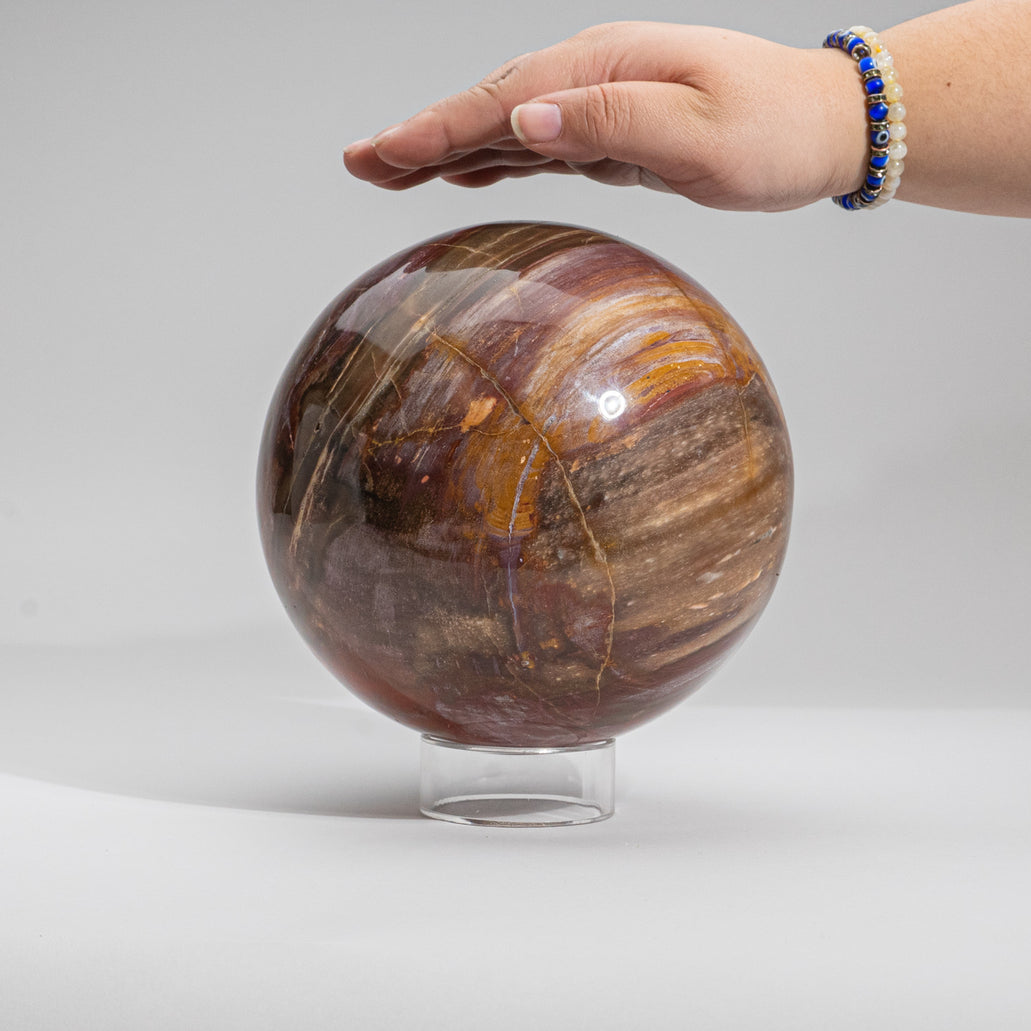 Java Petrified Wood Ball AAA+ Ancient 2024 Wisdom / Serenity 224g 55mm