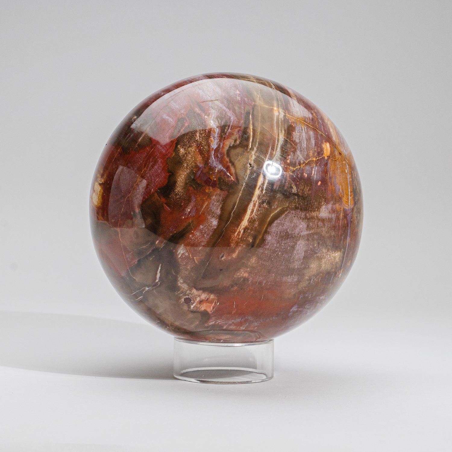 Large Genuine Polished Petrified Wood Sphere from Madagascar (6.75", 15.4 lbs)