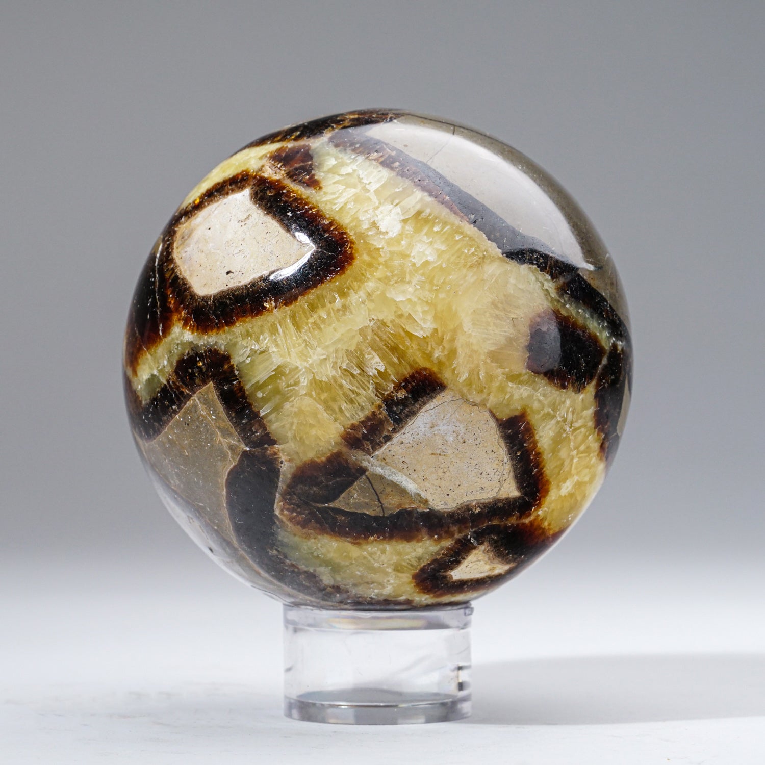 Polished Septarian Sphere from Madagascar (4 lbs)