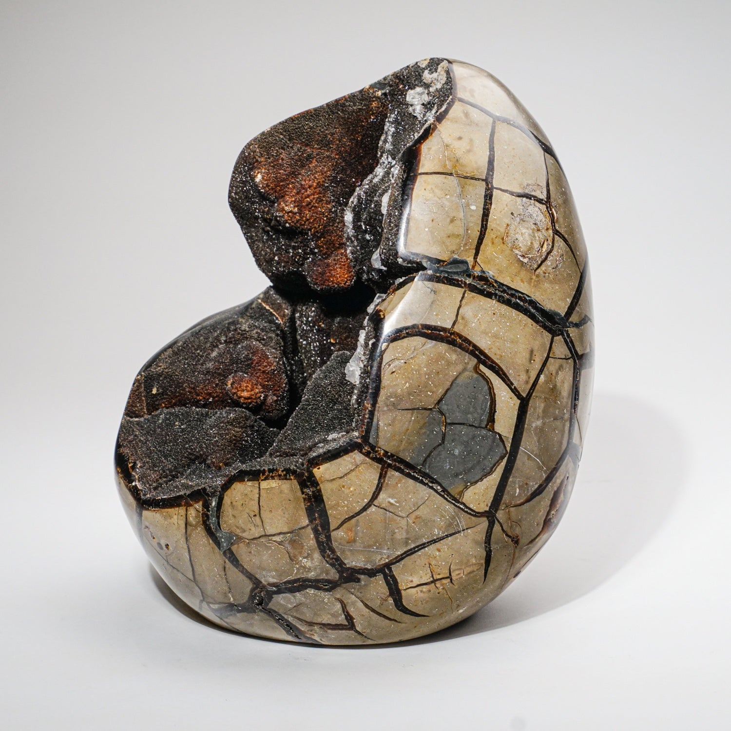 Large Septarian Druzy Geode Egg from Madagascar (13.6 lbs)