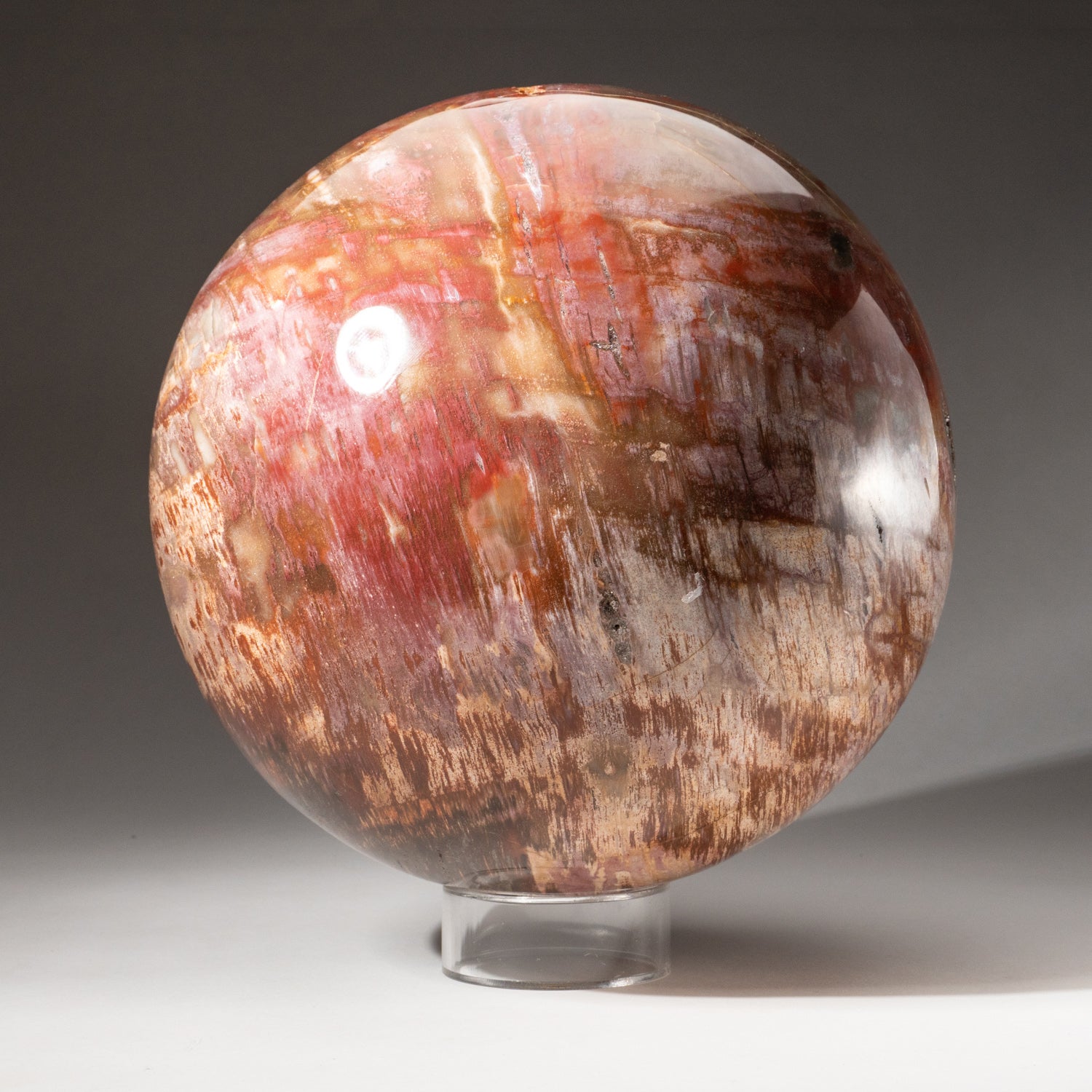 Genuine Large Polished Petrified Wood Sphere from Madagascar (8.5", 31.5 lbs)