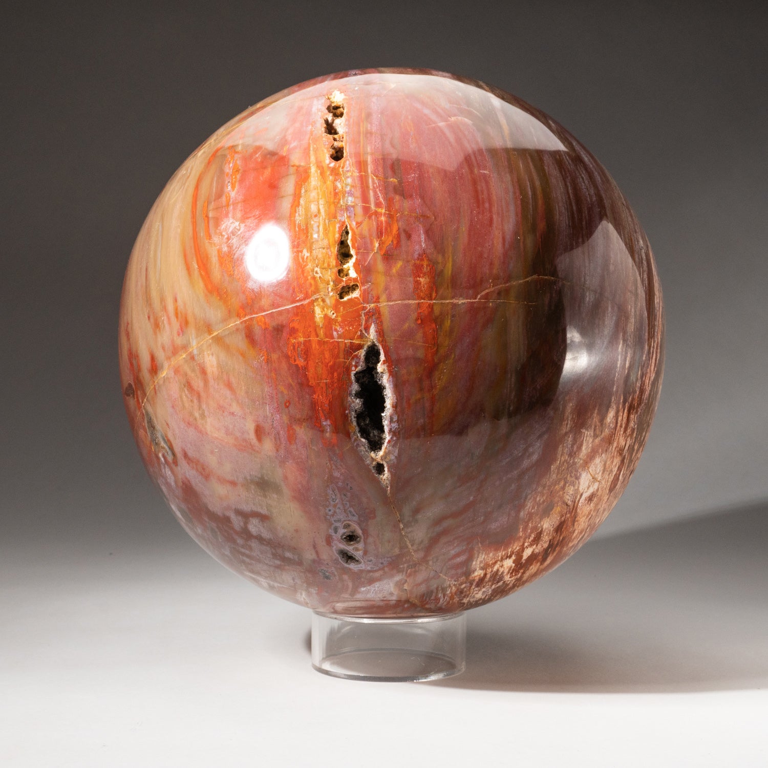 Genuine Large Polished Petrified Wood Sphere from Madagascar (8.5", 31.5 lbs)