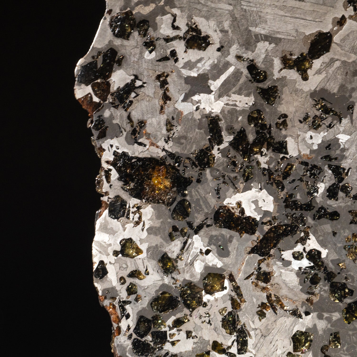 Genuine Seymchan Pallasite Meteorite Slab (1.5 lbs)