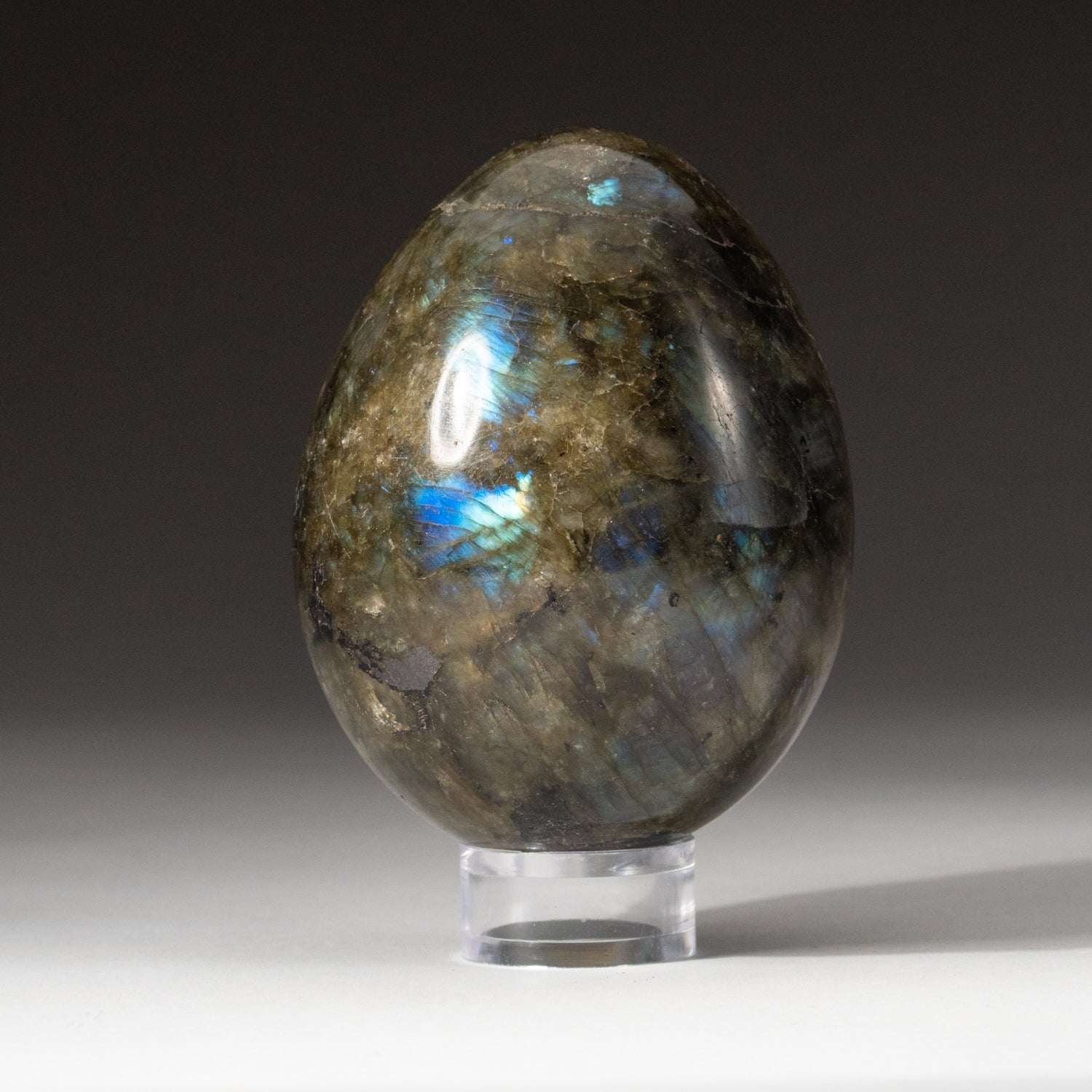 Polished Labradorite Egg from Madagascar (.9 lbs)