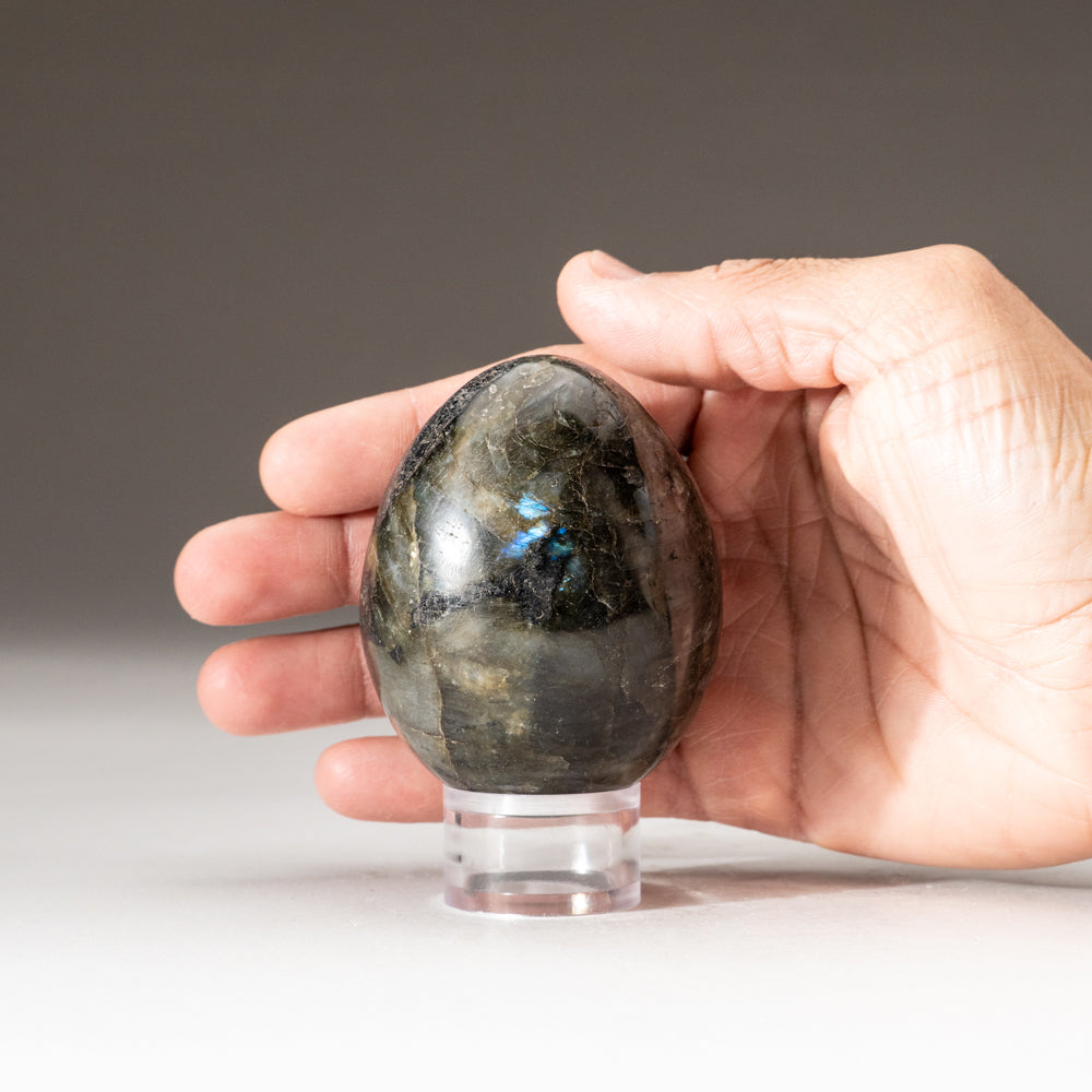 Polished Labradorite Egg from Madagascar (.6 lbs)