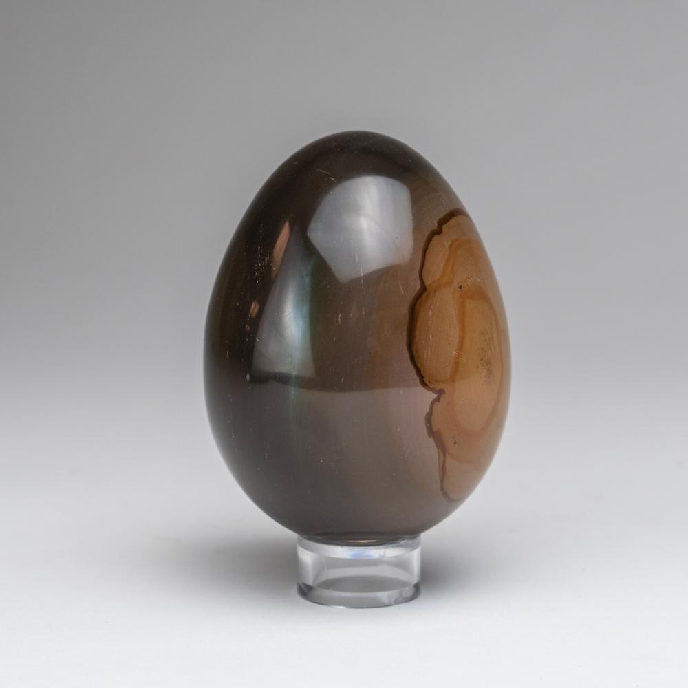 Polished Polychrome Egg from Madagascar (.6 lbs)