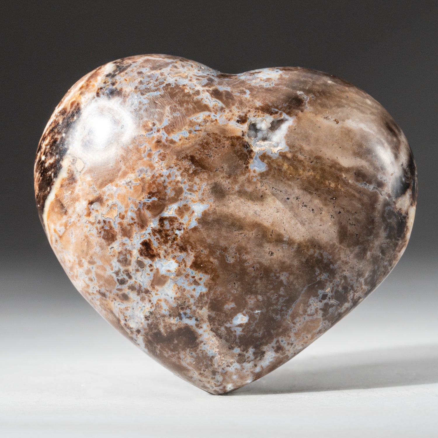 Polished Brown Petrified Wood Heart from Madagascar (202 grams)